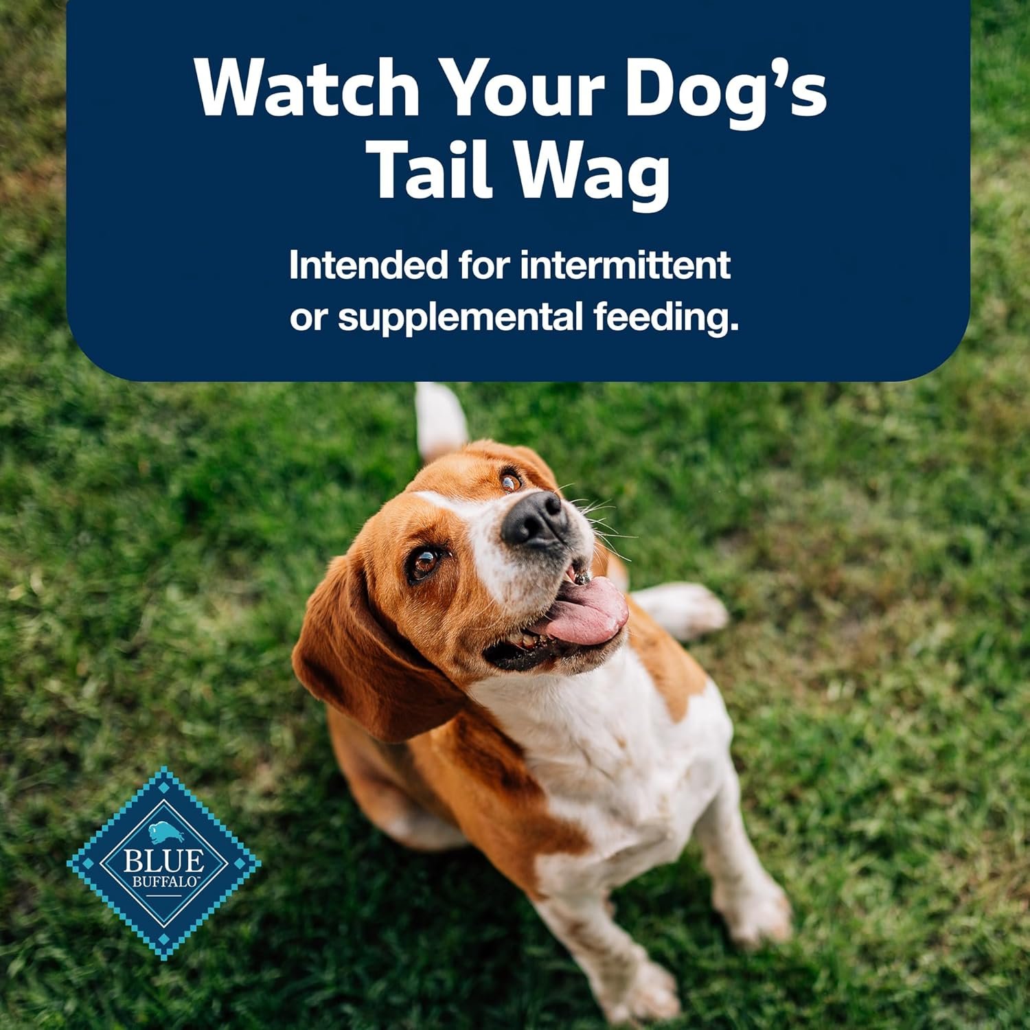 Blue Buffalo Stix Pepperoni-Style Dog Treats Made with Natural Ingredients, Beef Recipe, 13-oz Bag - Image 9