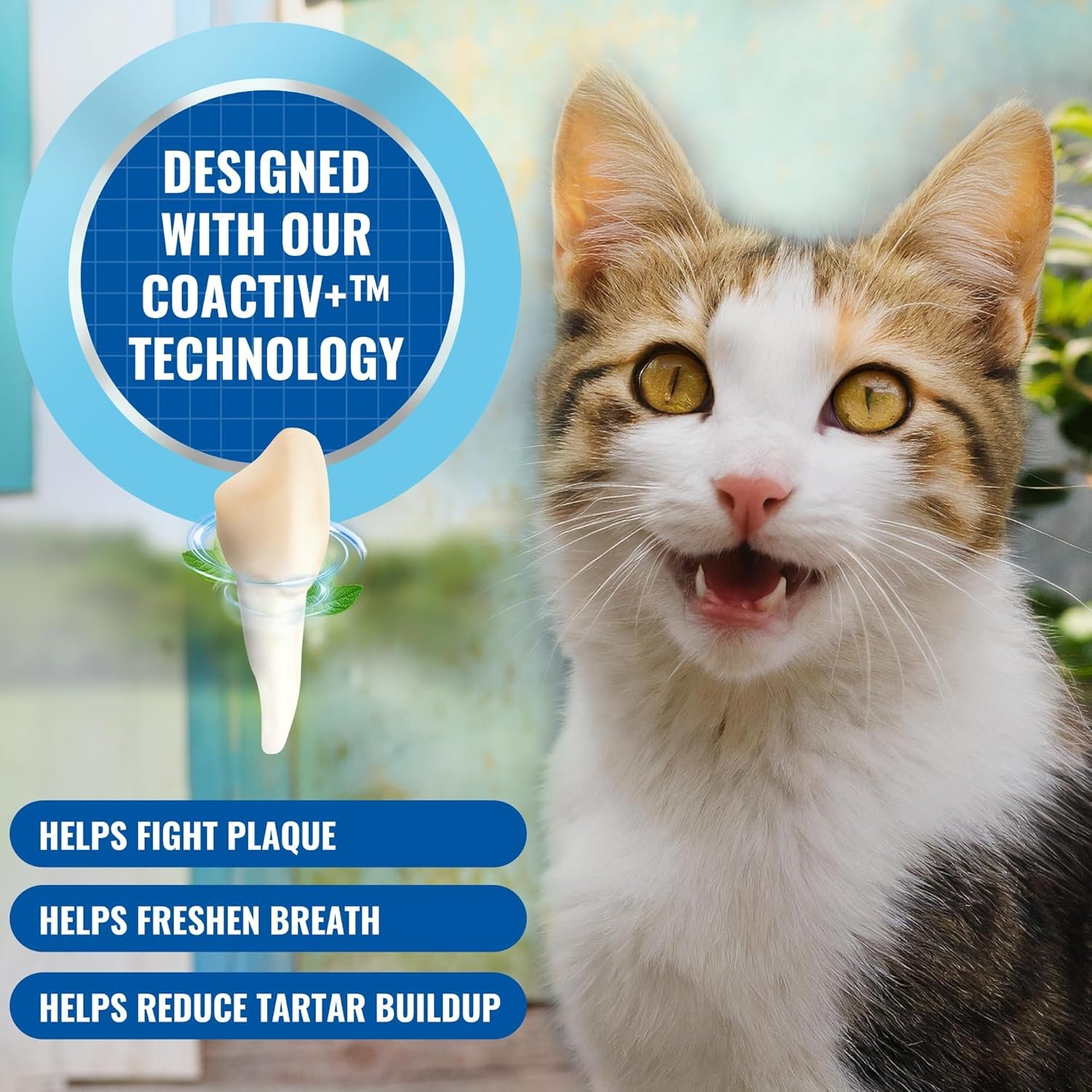 Cat Oral Spray Breath Freshener: Pet Dental Teeth and Mouth Cleaning Spray That Treats All Cats Bad Breath Smell When Breathing. Tooth Tartar, Plaque Cleaner Remedy. Small Mint Flavor Remover for Pets - Image 4