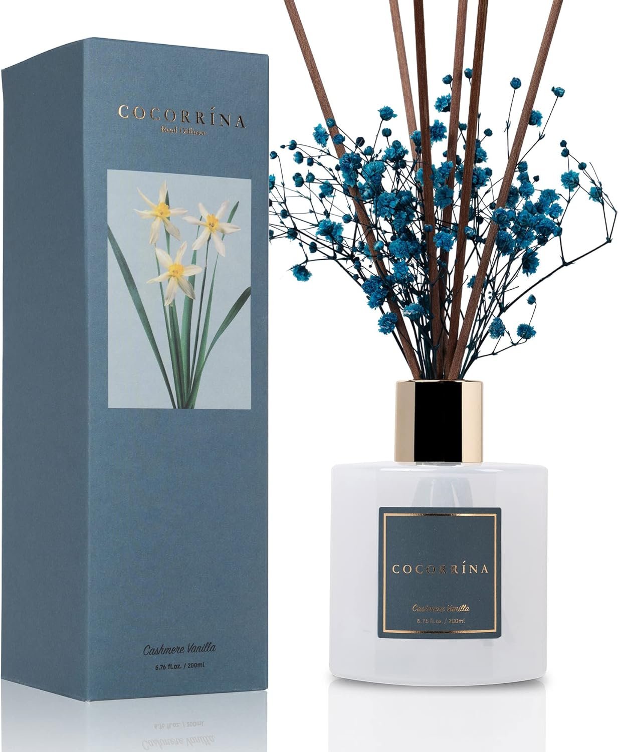 Cocorrína Premium Reed Diffuser Set with Preserved Baby's Breath & Cotton Stick Cashmere Vanilla | 6.7oz Scent Fragrance Oil Diffuser for Bedroom Bathroom Home Décor - Image 2