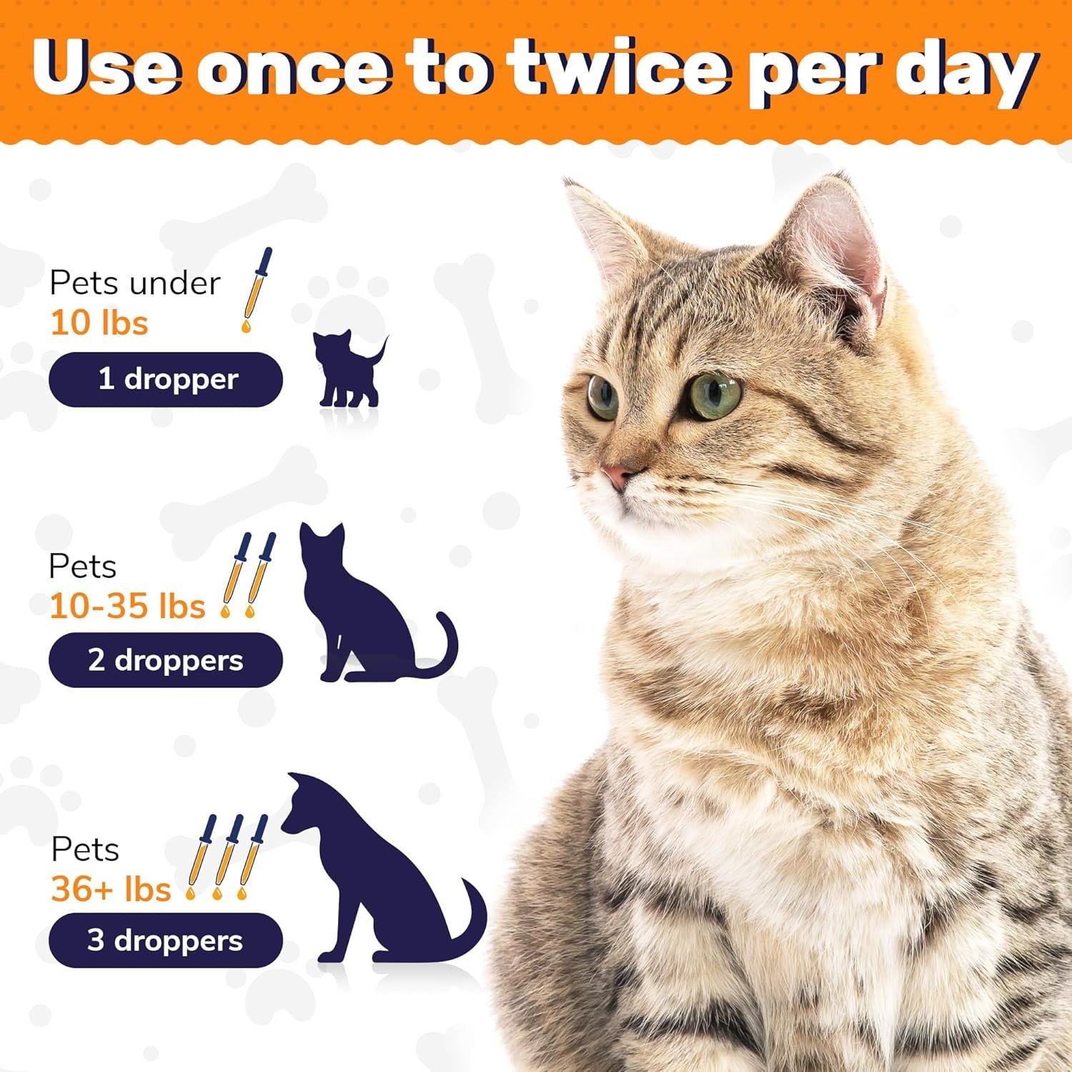 Probiotics for Dogs ◆ Cat Probiotic ◆ Great Dog Probiotics and Digestive Enzymes for Pet ◆ Dog Digestive Enzymes & Pure Prebiotic ◆ Canine Probiotic ◆ Probiotics for Cats ◆ Puppy Probiotic - Image 5