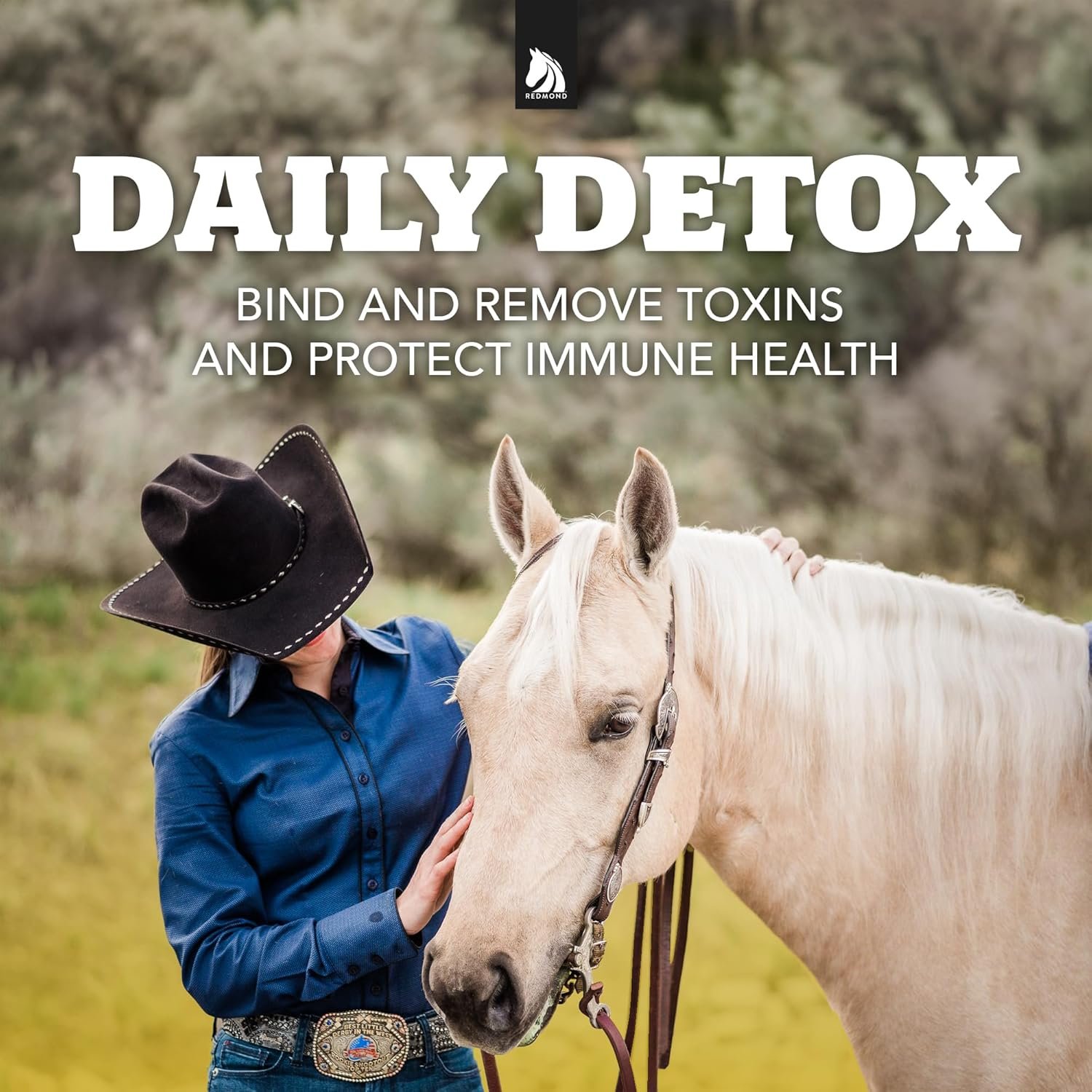 Daily Gold Stress Relief – Natural Digestive and Ulcer Supplement for Horses - Image 8
