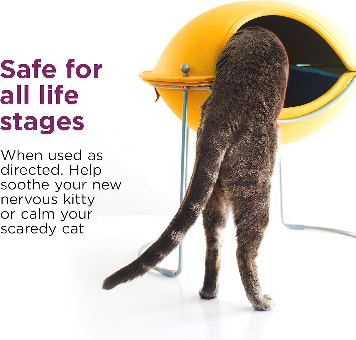 Comfort Zone Cat Calming Spray: Travel Size (2oz) - Image 6