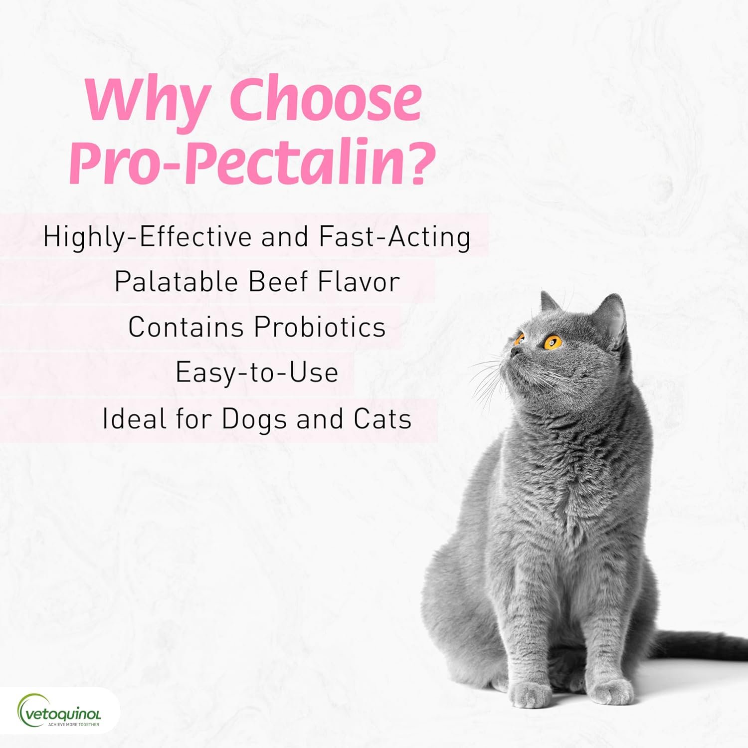 Pro-Pectalin Chewable Tablets for Dogs & Cats, Helps Relieve Occasional Diarrhea in Cats and Dogs, Situational Diarrhea Relief with Kaolin and Pectin, Contains Beneficial Probiotic Bacteria, 250ct - Image 4