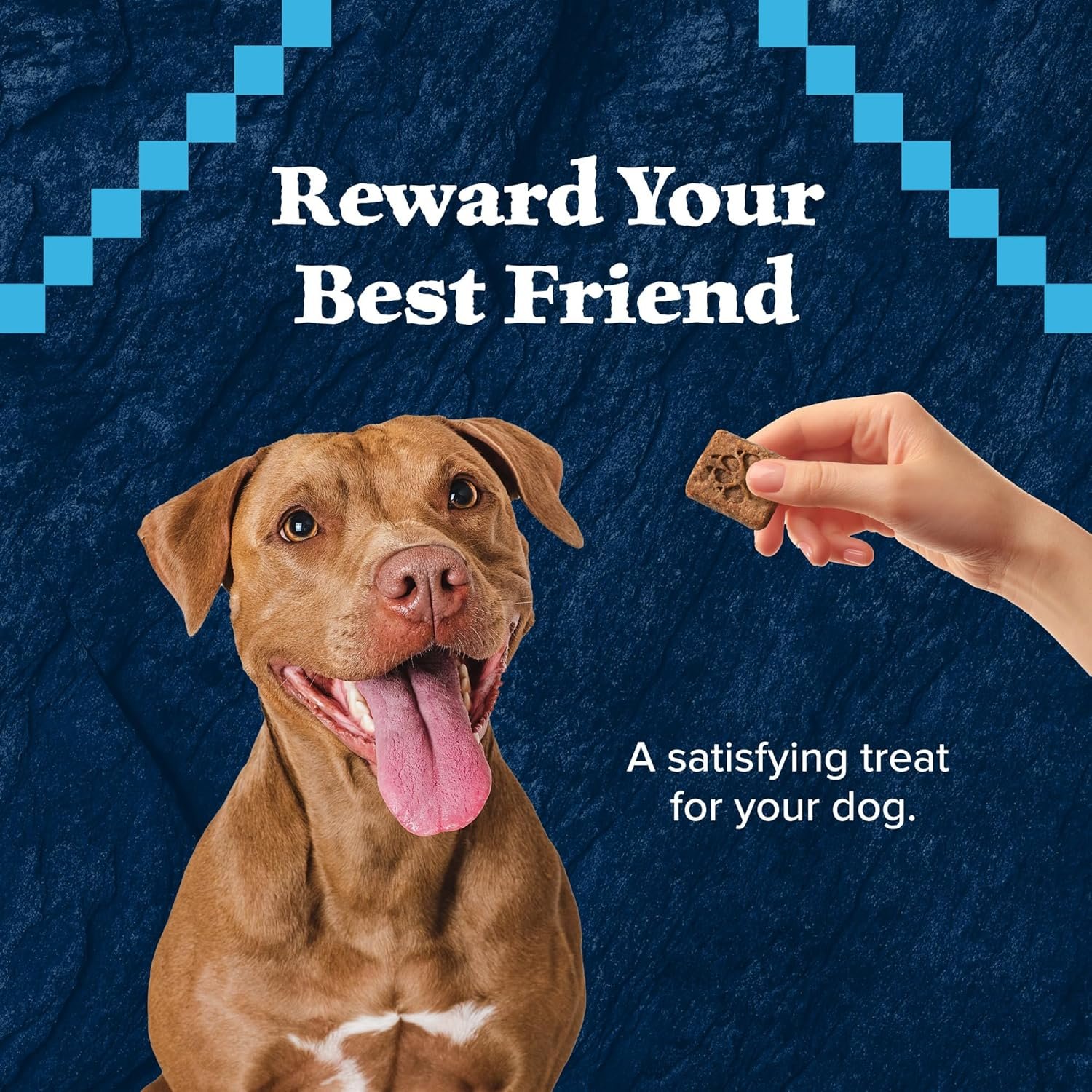 Blue Buffalo Wilderness Trail Treats High Protein Grain Free Crunchy Dog Treats Biscuits, Turkey Recipe, 36-oz box - Image 5