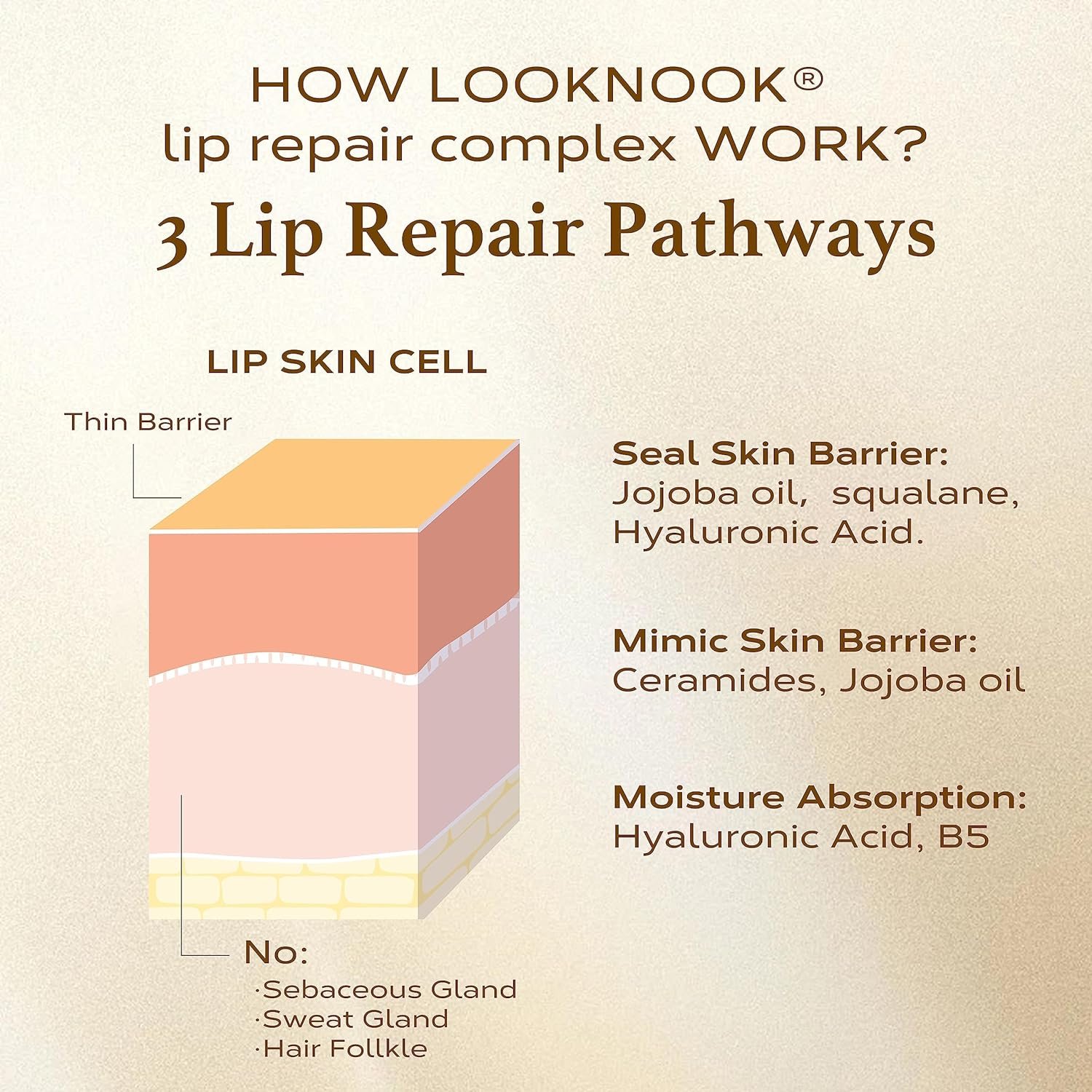 Lip Mask - Lip Sleeping Mask for Lip Care - Hydrating Lip Serum and Treatment with Collagen Peptide and Squalane - Clinically Tested Formula for Plumping Lips - Image 10