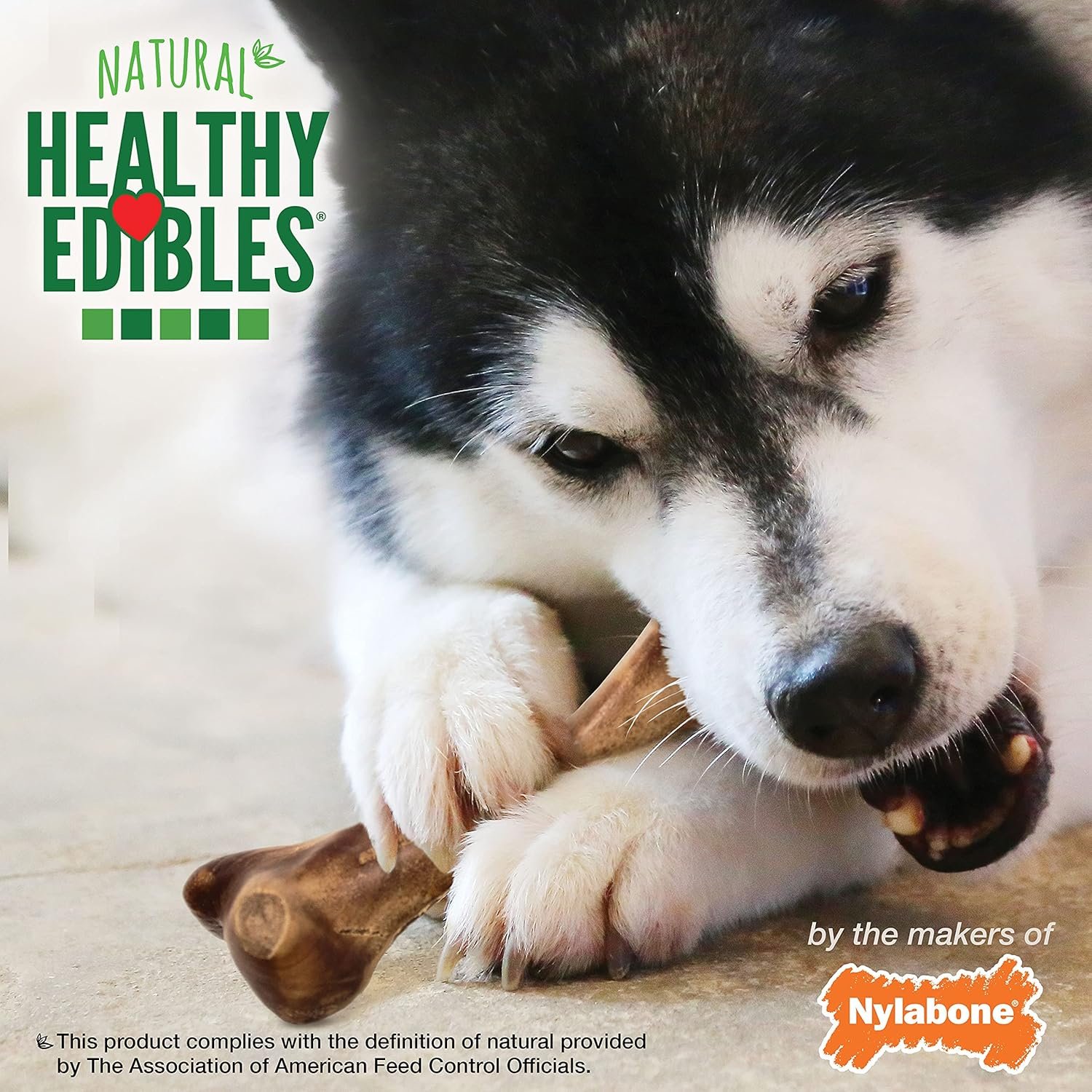 Nylabone Healthy Edibles WILD Natural Long-Lasting Bison Flavor Bone Chew Treats for Dogs, Large (1 Count) - Image 7
