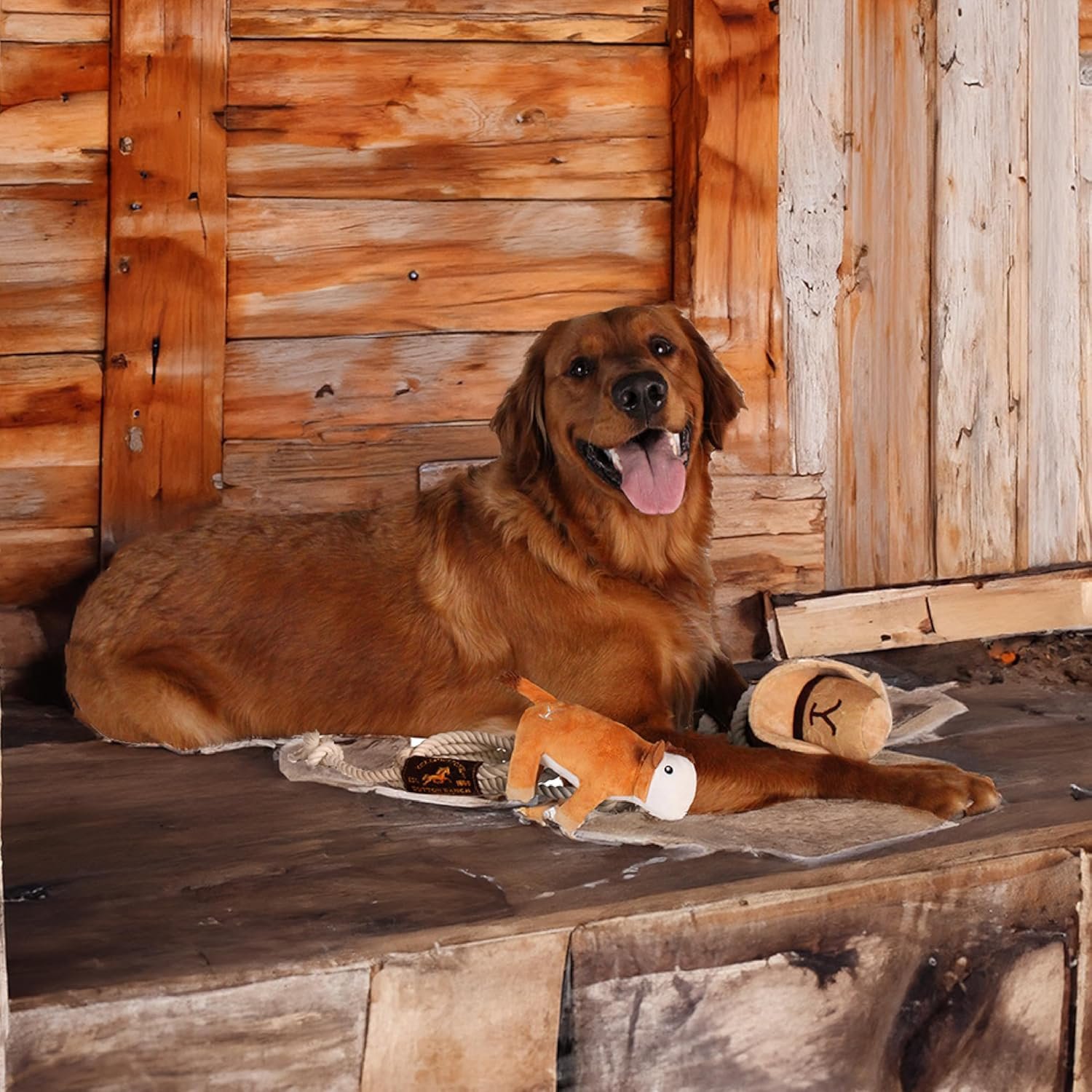 Official Yellowstone Merchandise | Indoor Dog Toy Bundle Variety Gift Set | Lasso Rope, Plush Squeaky Brown Cow, and Cowboy Hat with Tug Rope - Image 4