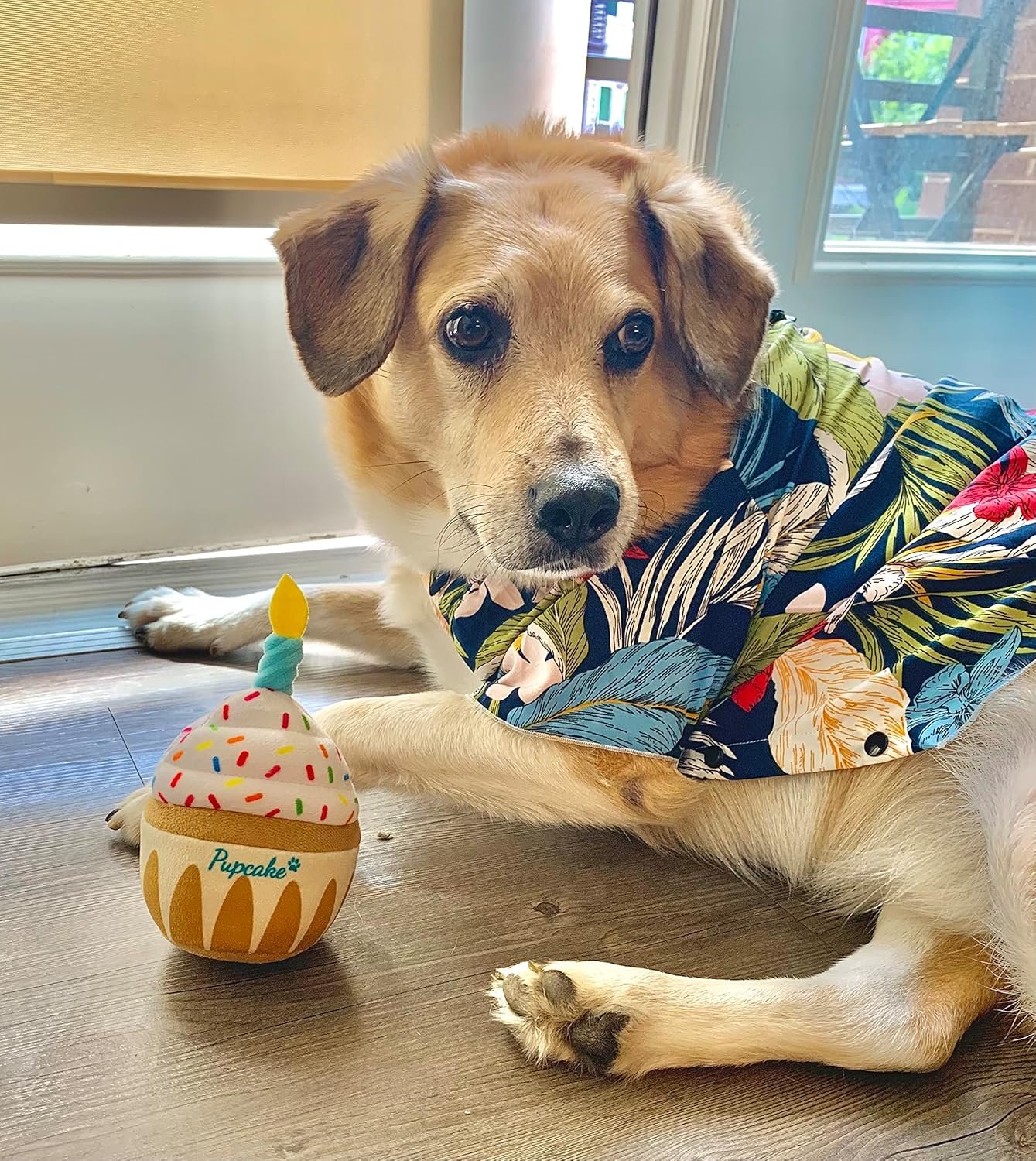 Nestpark Dog Birthday Toy - Pup Cake Puppy Cupcake Plush Squeak and Crinkle Gift - Image 6