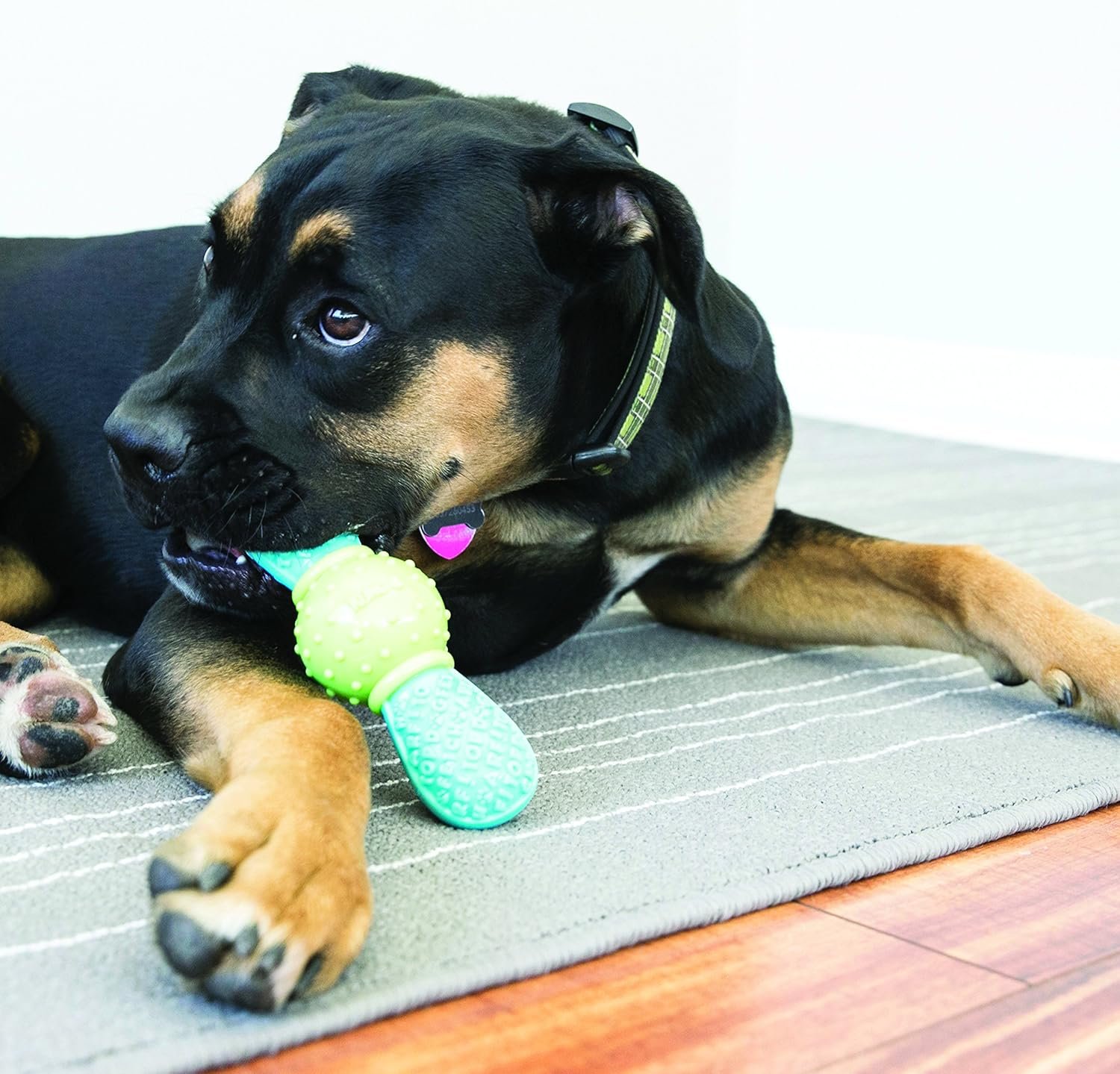 KONG CoreStrength Bow Tie Bone - Dog Dental Chew Toy - Durable, Multi-Layered Dog Toy for Enrichment Play & Dental Care - with Textured Body for Teeth Cleaning - for Small/Medium Dogs - Image 3