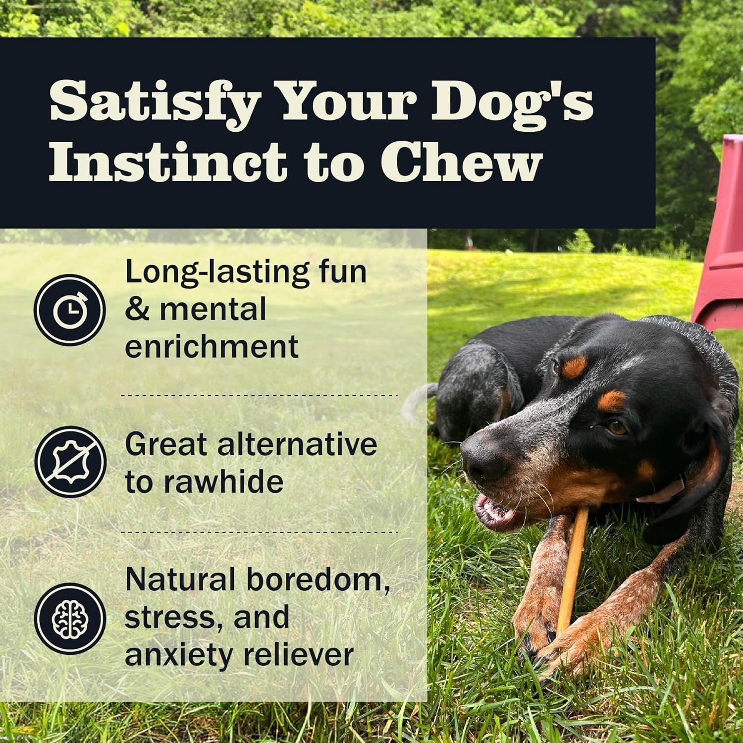 Redbarn Pet Products All Natural 5-8" Bully Sticks for Small & Large Dogs - Healthy Long Lasting Chews Variety Party Pack - 100% Beef Single Ingredient Low Odor Rawhide Free Dental Treats - 8 oz Bag - Image 4