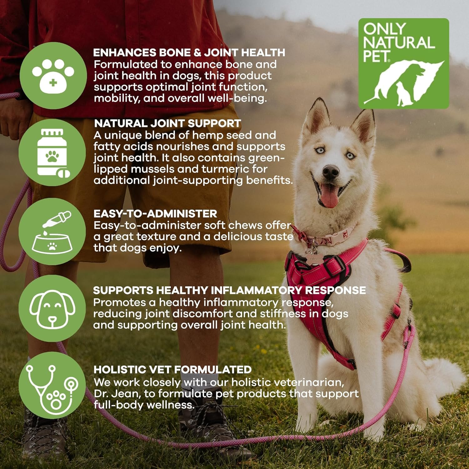 Only Natural Pet Hemp Hip & Joint Support for Dogs - Supplement for Mobility Wellness Pain Relief Healthy Inflammatory & Bone Stiffness - Chews w/Fatty Acid Blend Mussels & Turmeric - 60 Count - Image 4