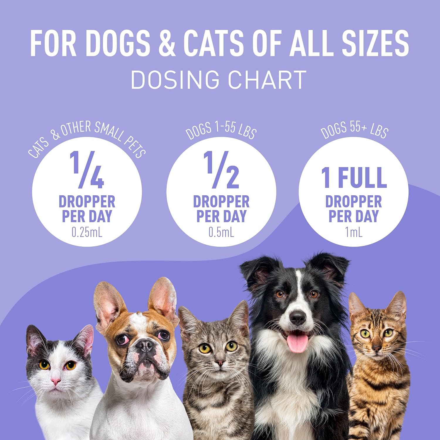 Nature's Synergy Melatonin and Hemp Oil for Dogs, Cats & Pets, Calming Sleep Support, Omega Fatty Acids for Hip and Joint Support, Skin and Coat Health, Stress from Travel, Separation, 1 Oz - Image 7