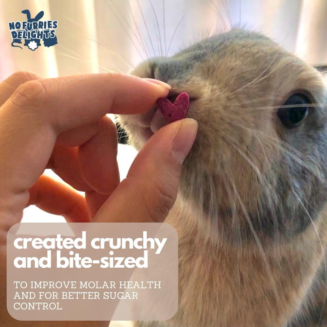 Treats, 100% All Natural Mini Bites for Rabbit Hamster Guinea Pig Chinchilla Pet Rat Mice Gerbil Bird, Healthy Enrichment Bonding Rewarding Training (Lucky Variety Pack 50g) - Image 6