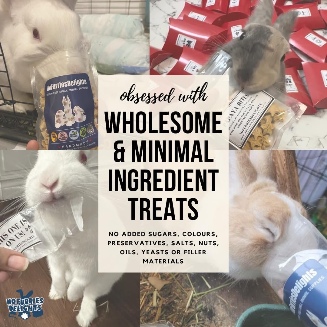 Treats, 100% All Natural Mini Bites for Rabbit Hamster Guinea Pig Chinchilla Pet Rat Mice Gerbil Bird, Healthy Enrichment Bonding Rewarding Training (Lucky Variety Pack 50g) - Image 9