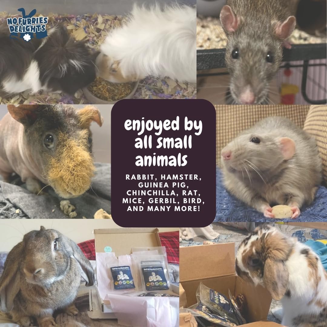 Treats, 100% All Natural Mini Bites for Rabbit Hamster Guinea Pig Chinchilla Pet Rat Mice Gerbil Bird, Healthy Enrichment Bonding Rewarding Training (Lucky Variety Pack 50g) - Image 10