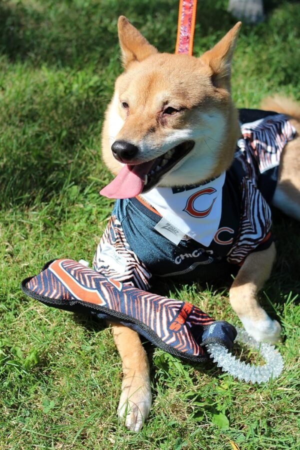 Zubaz NFL Team Logos and Colors Ring Tug Toy with Squeaker for Dogs, Atlanta Falcons - Image 4
