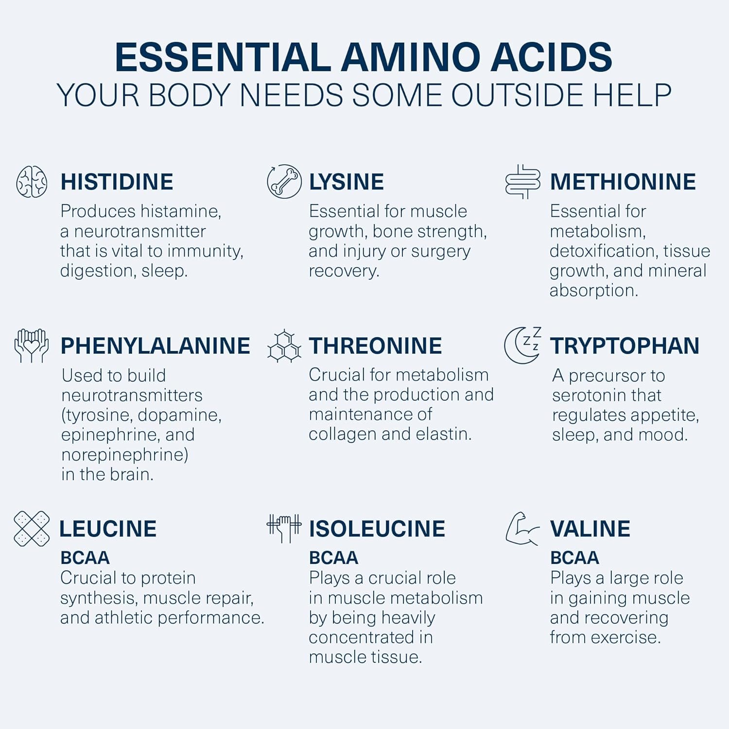 Life Essential Amino Acids Powder - EAA Supplement for Muscle Growth, Blood Pressure Support, Heart Health - Leucine and Citrulline for 40+ - Vegan, Non-GMO, Grape, 30 Servings - Image 5