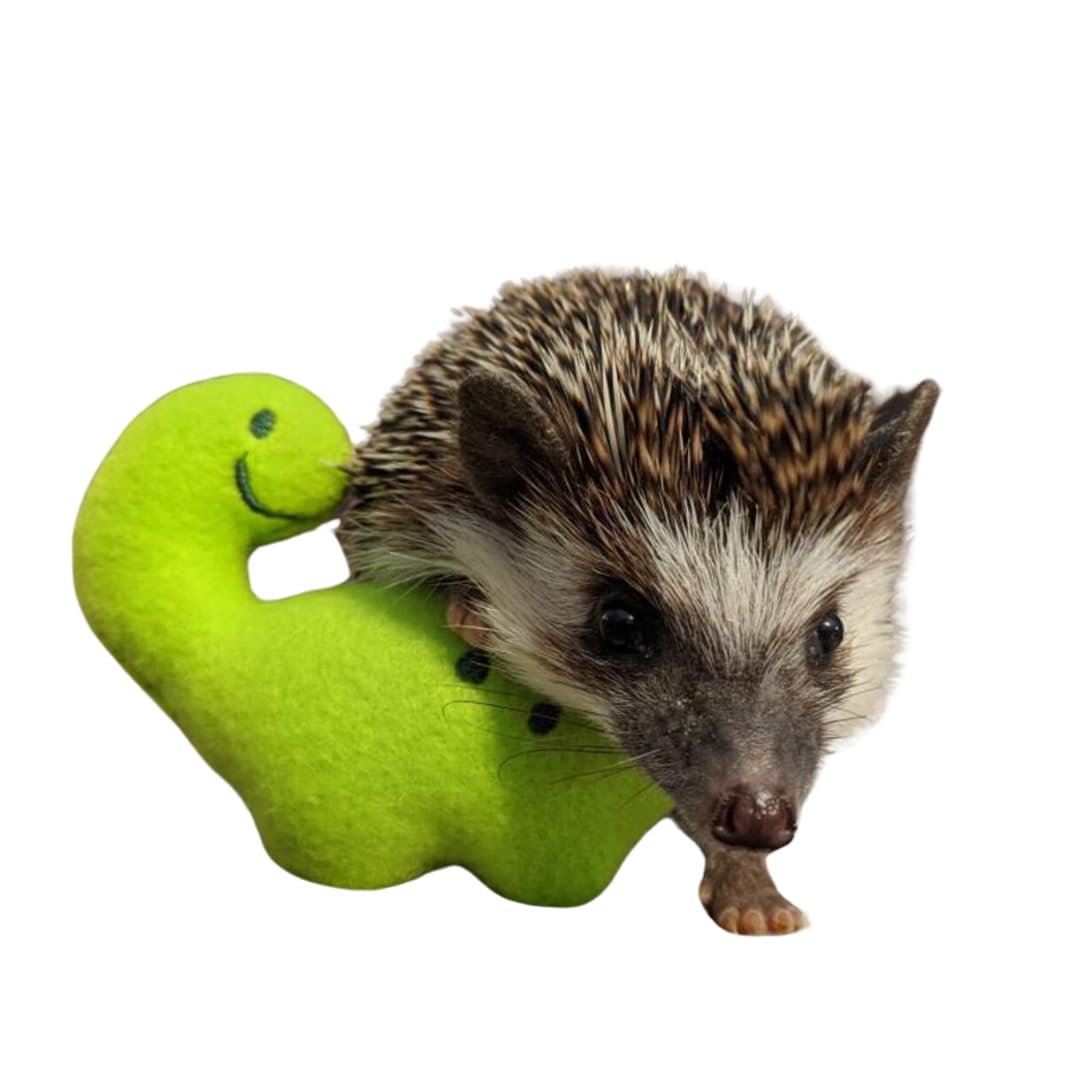Billy the Bronto Dino Chibi Kawaii Mint Stuffed Fleece Hedgehog Rat Guinea Pig Degus Chinchilla Enrichment Toy Small Animal Photo Prop Cage Buddy Mint Stick Alternative - Image 2
