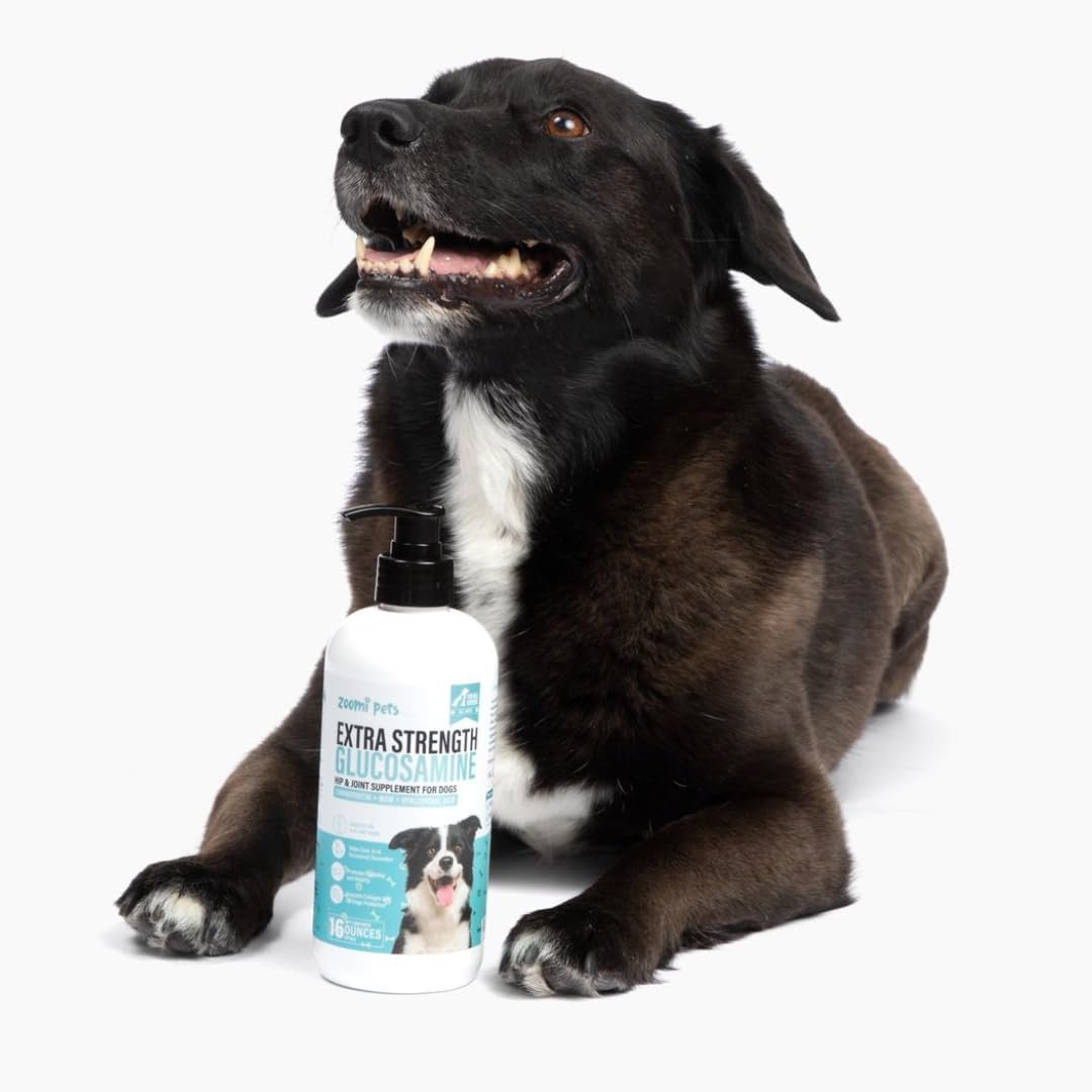Liquid Glucosamine for Dogs (16oz) - Hip and Joint Supplement with Hyaluronic Acid, MSM, Manganese & Glucosamine Chondroitin for Dogs - Dog Joint Supplement Large Breed, Medium & Small Dogs - Image 3