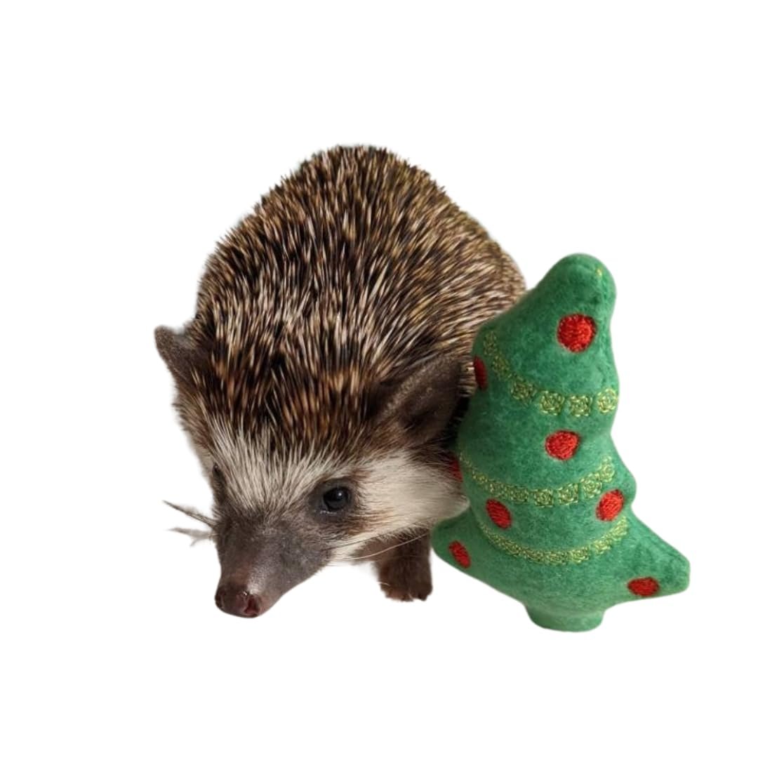 Yule Tree Christmas Winter Holiday Kawaii Mint Stuffed Fleece Hedgehog Rat Guinea Pig Degus Chinchilla Enrichment Toy Small Animal Photo Prop Cage Buddy Mint Stick Alternative - Image 2