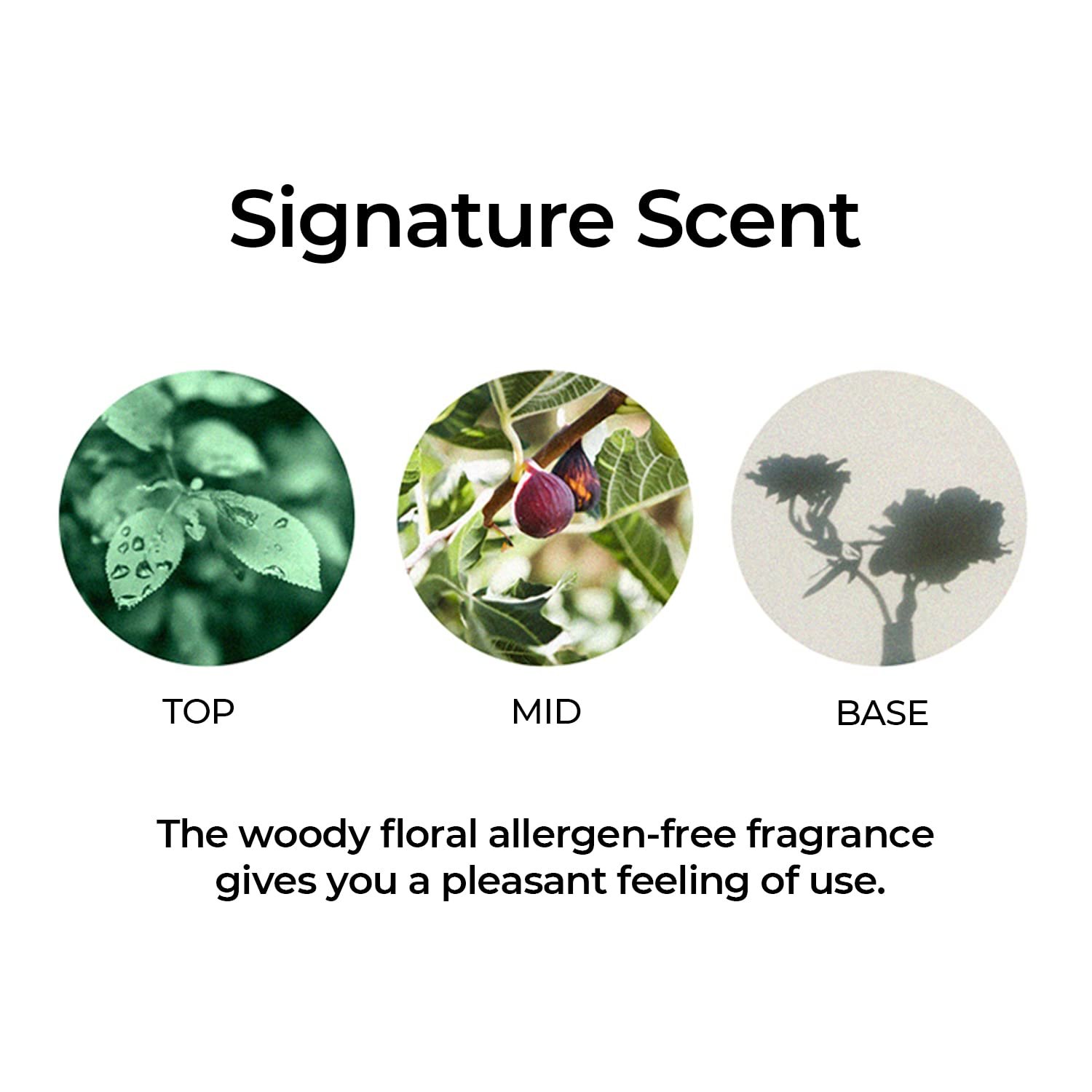 Oat Kernel-Ferment Essence Skin Care for Rough and Dry Skin | Moisturizing Korean Essence with Oat Kernel Extract and Niacinamide | Lightweight Serum for Face 1.75 Oz - Image 7