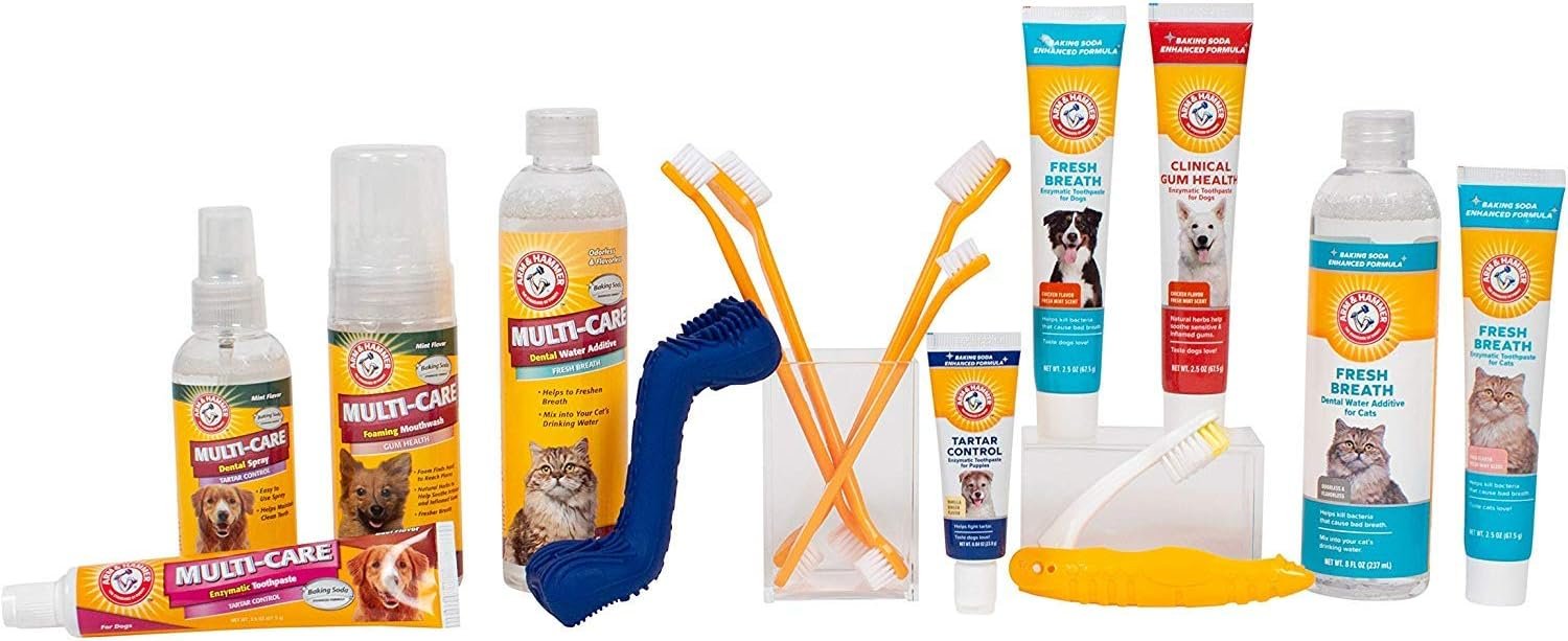 Arm & Hammer for Pets Tartar Control Kit for Dogs | Contains Toothpaste, Toothbrush & Fingerbrush | Reduces Plaque & Tartar Buildup | Safe for Puppies, 3-Piece , Beef Flavor - Image 9