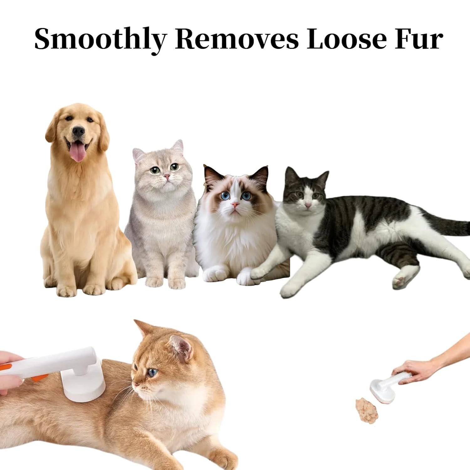 Cat Hair Brush with Released Button for Indoor Cats Shedding, Cat Brush for Long Haired Cats and Short Haired Cats,Gentle Deshedding and Self-Cleaning Massage Tool for Cat and Dog - Image 6