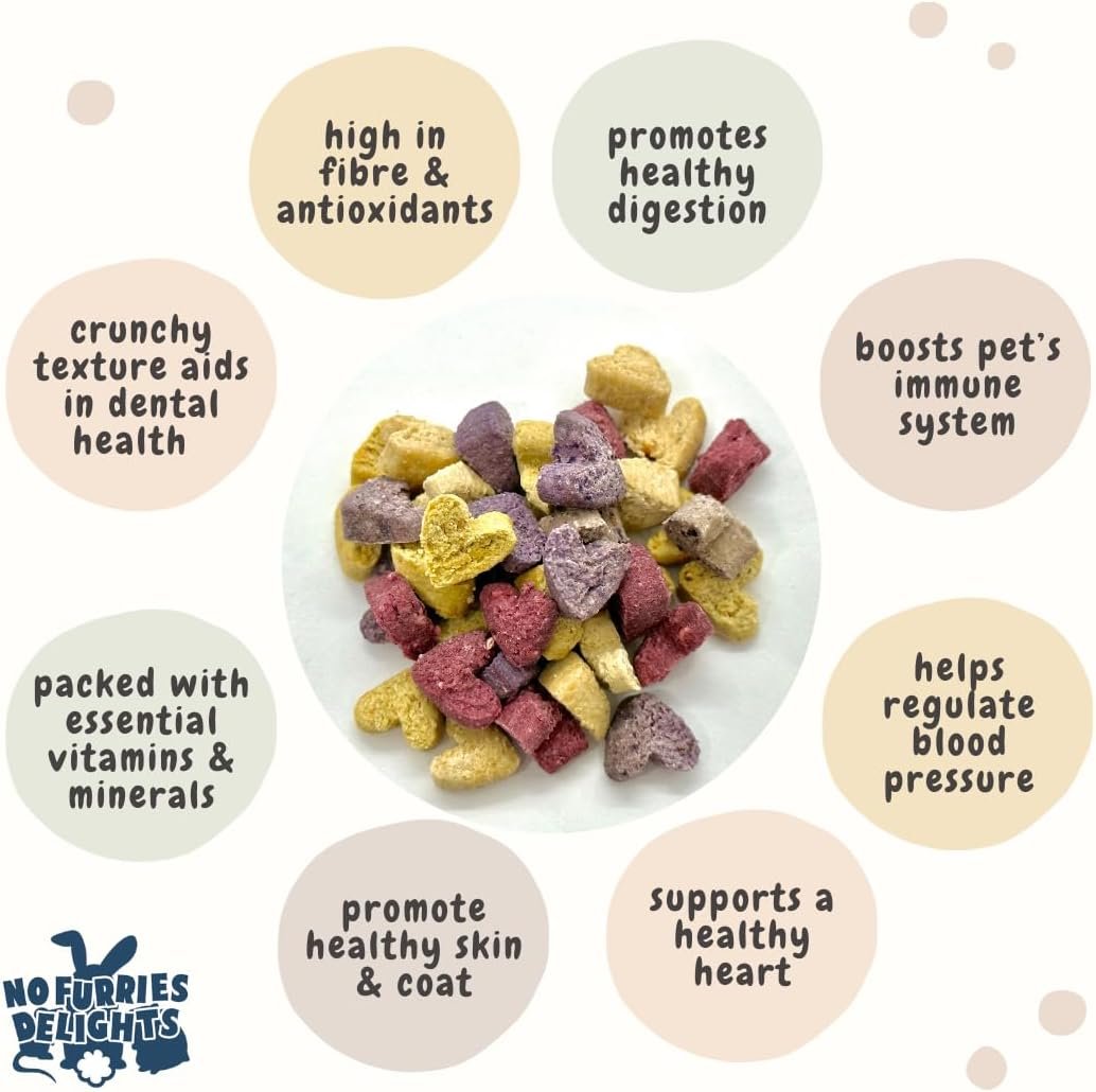 Treats, 100% All Natural Mini Bites for Rabbit Hamster Guinea Pig Chinchilla Pet Rat Mice Gerbil Bird Healthy Enrichment Bonding Rewarding Training Nature's Bites Variety Pack 50g - Image 4