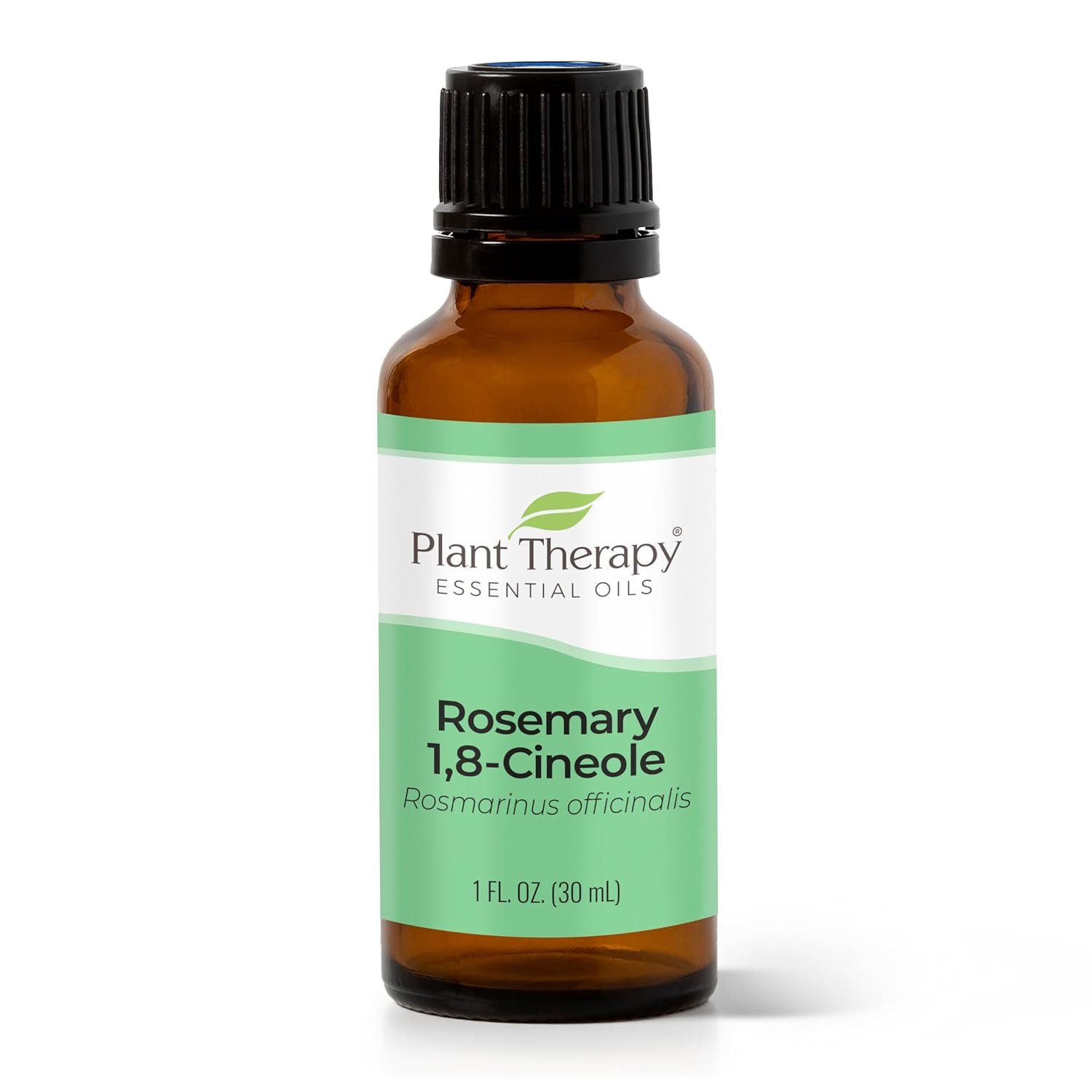 Plant Therapy Rosemary Essential Oil for Hair Growth, 100% Pure, Undiluted, Natural Aromatherapy for Diffuser & Rosemary Oil for Hair & Scalp, Therapeutic Grade 30 mL (1 oz) - Image 2
