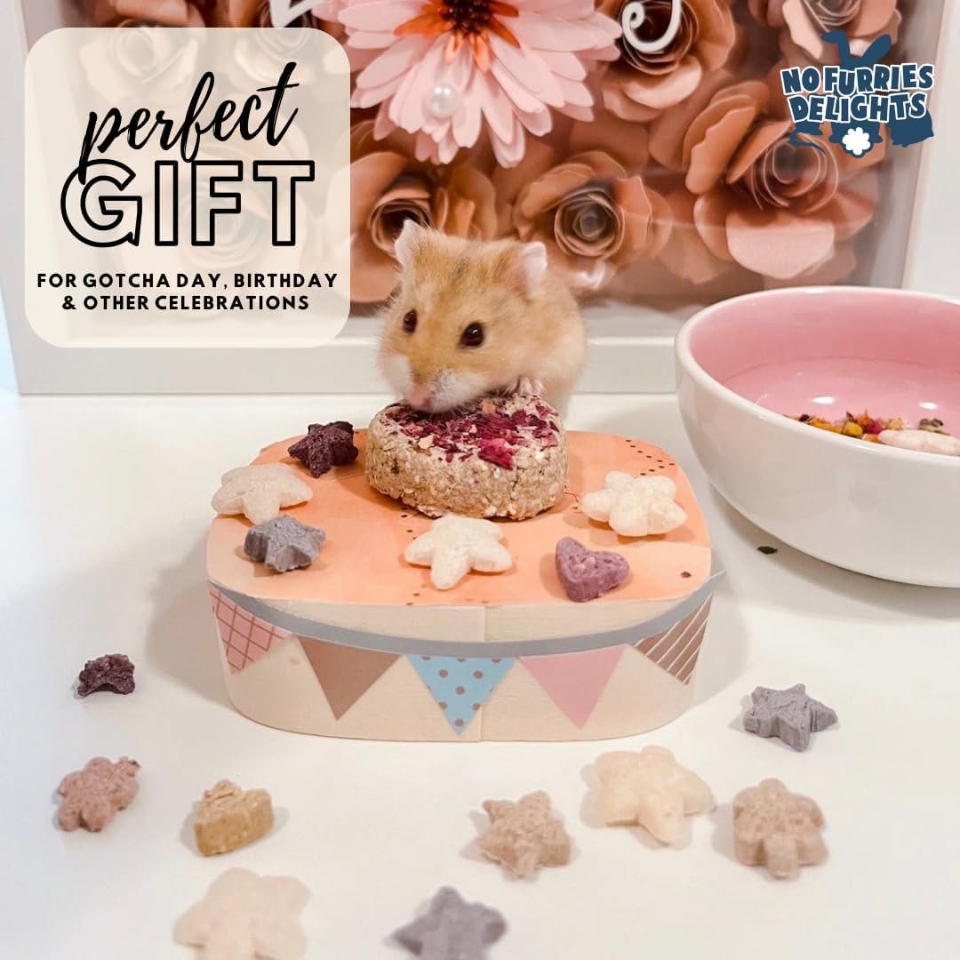 Treats, 100% All Natural Mini Bites for Rabbit Hamster Guinea Pig Chinchilla Pet Rat Mice Gerbil Bird, Healthy Enrichment Bonding Rewarding Training (Lucky Variety Pack 50g) - Image 8