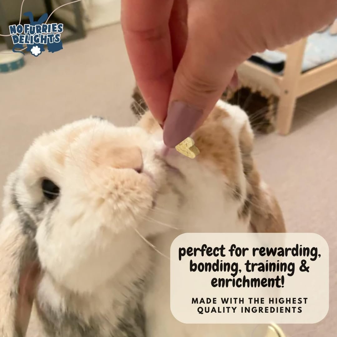 Treats, 100% All Natural Mini Bites for Rabbit Hamster Guinea Pig Chinchilla Pet Rat Mice Gerbil Bird Healthy Enrichment Bonding Rewarding Training Nature's Bites Variety Pack 50g - Image 6