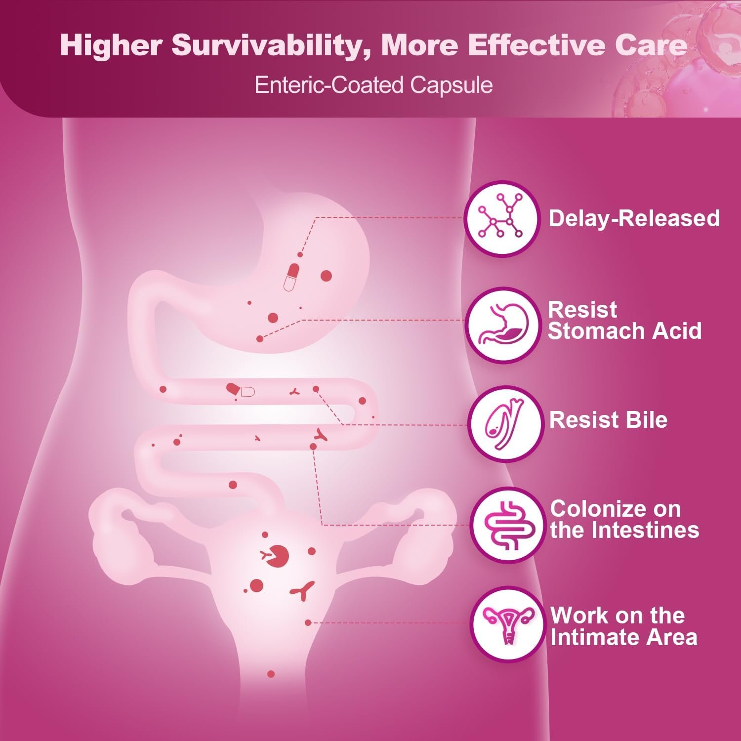 Probiotics for Women Urinary Tract Health with D Mannose & Cranberry - 60 Billion CFUs Vaginal Probiotics with Prebiotics, Digestive Enzymes for Women Digestive Health, UTI & PH Balance - 90 Capsules - Image 6