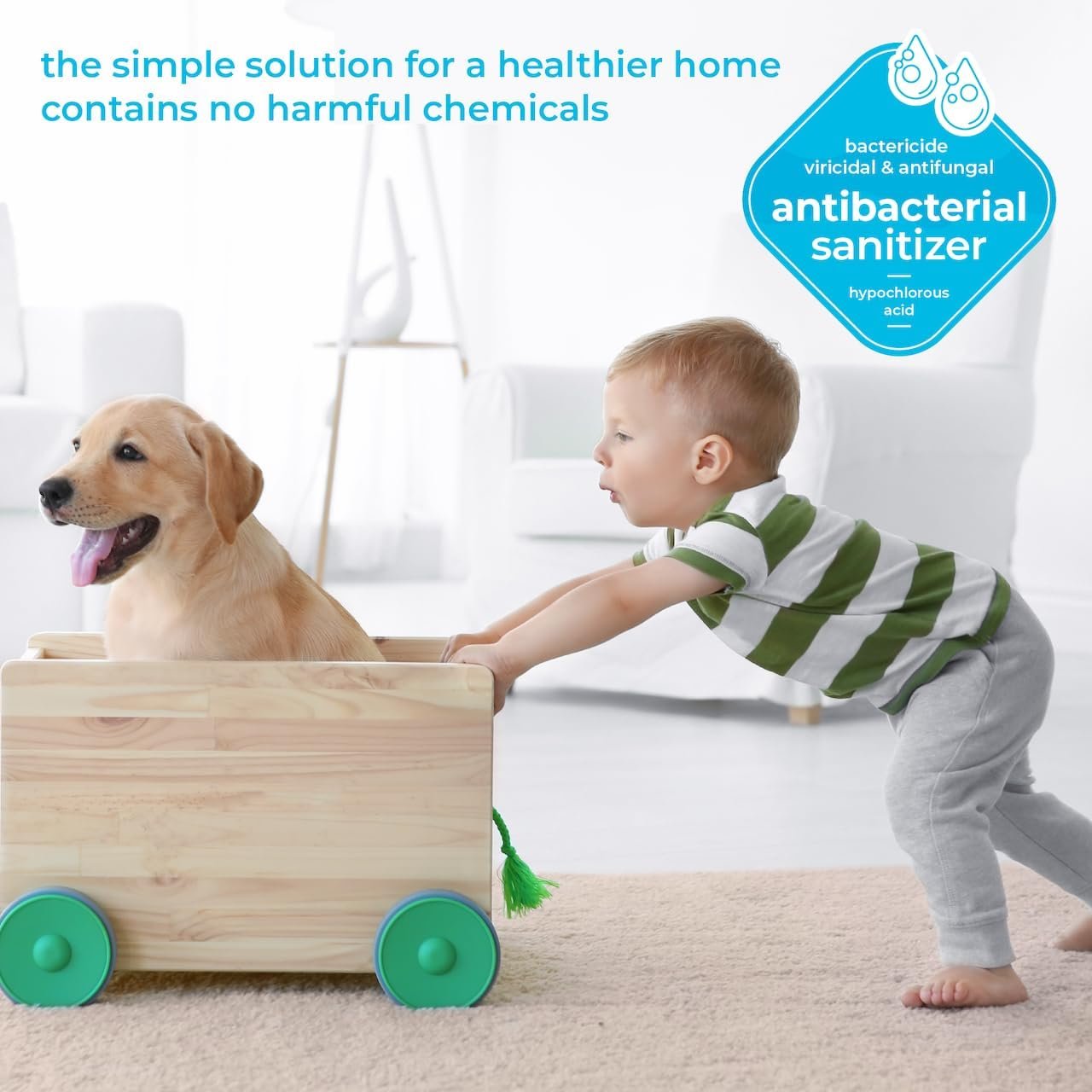 BRIOTECH Sanitizer Disinfectant Hypochlorous Spray, Kills 99.99% of Viruses & Bacteria, Eliminate Odor, Gentle for Nurseries & Play Rooms, Rinse Free Food Contact Surface Sanitizer, 1 Gal Refill - Image 4