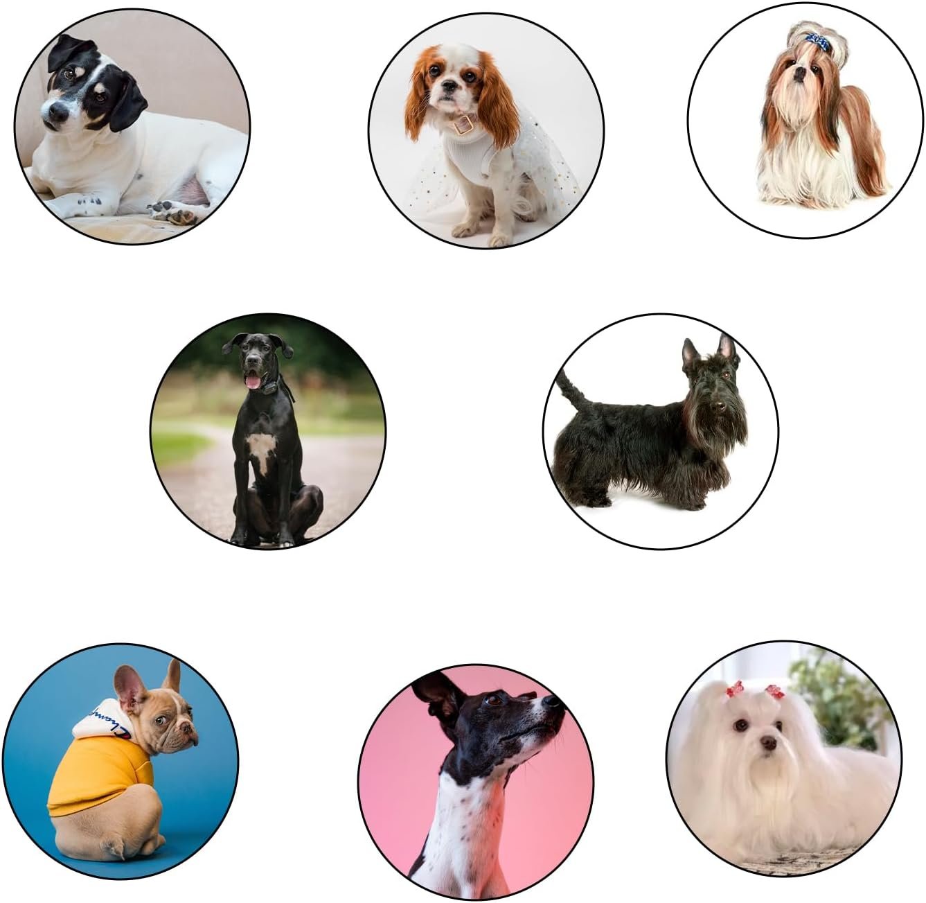 Professional Animal Pet Dog Cat and Horse Cordless Hair Clipper Grooming Kit with 5 in 1 Blade - Image 6