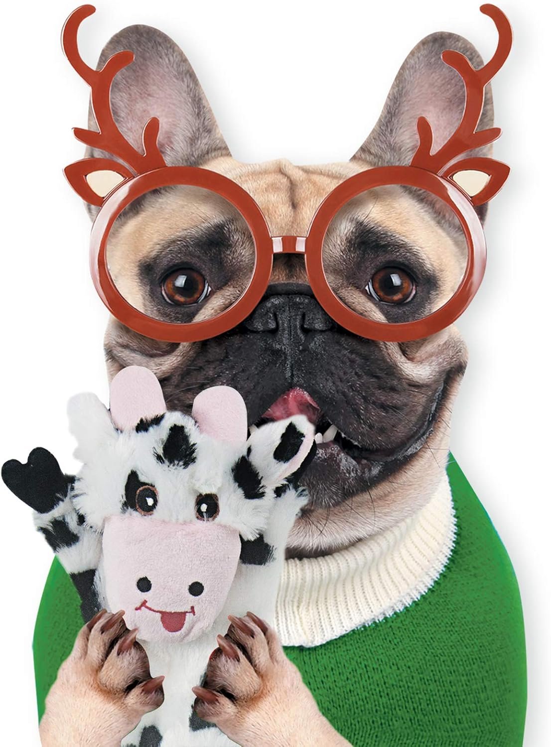 SHARLOVY Dog Squeaky Toys 5 Pack, Pet Toys Crinkle Dog Toy No Stuffing Animals Dog Plush Toy Dog Chew Toy for Large Dogs and Medium Dogs Squeeky Doggie Toys 5 Pack for Large Dogs Multi-Colored - Image 9