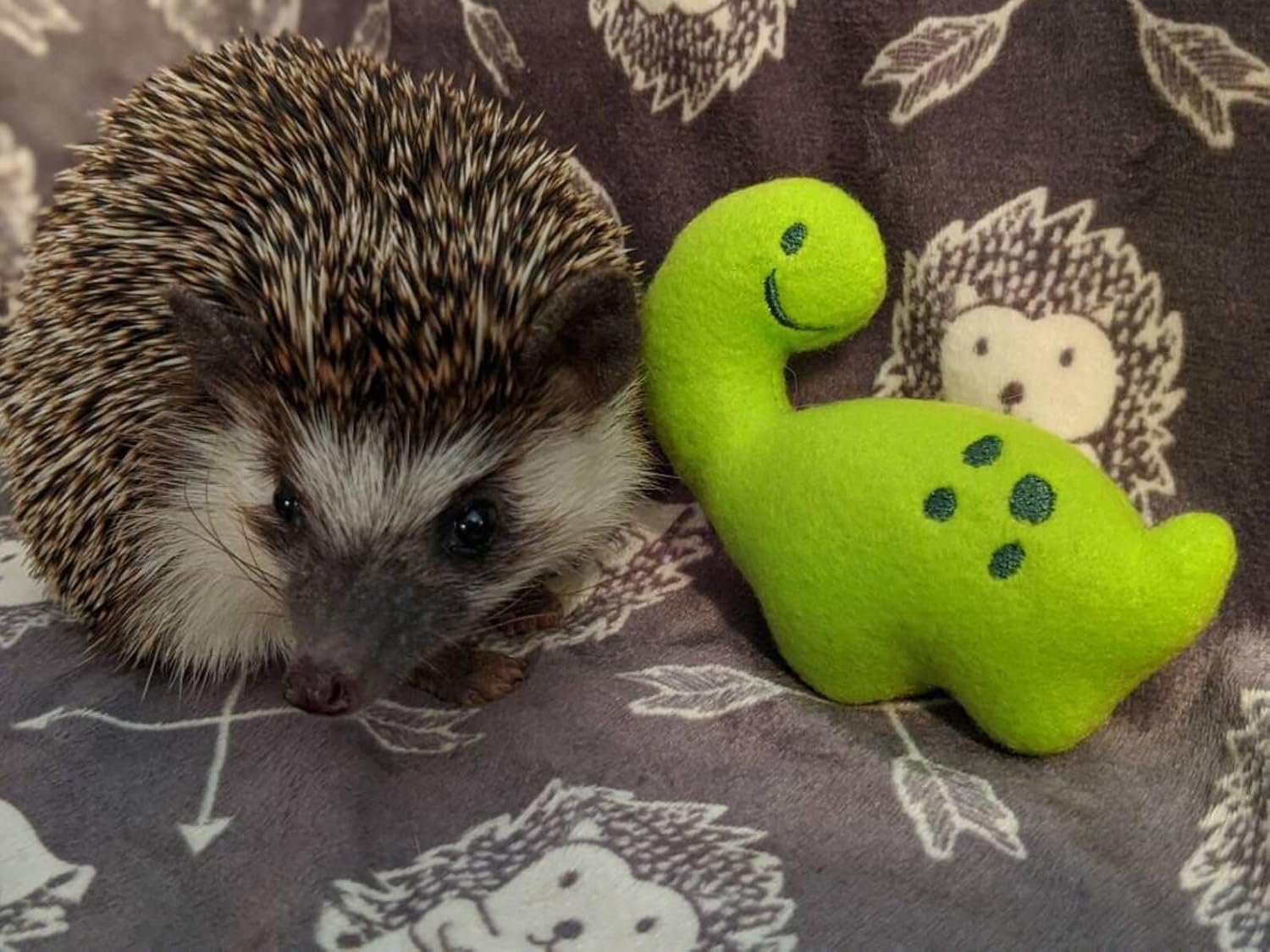 Billy the Bronto Dino Chibi Kawaii Mint Stuffed Fleece Hedgehog Rat Guinea Pig Degus Chinchilla Enrichment Toy Small Animal Photo Prop Cage Buddy Mint Stick Alternative - Image 4