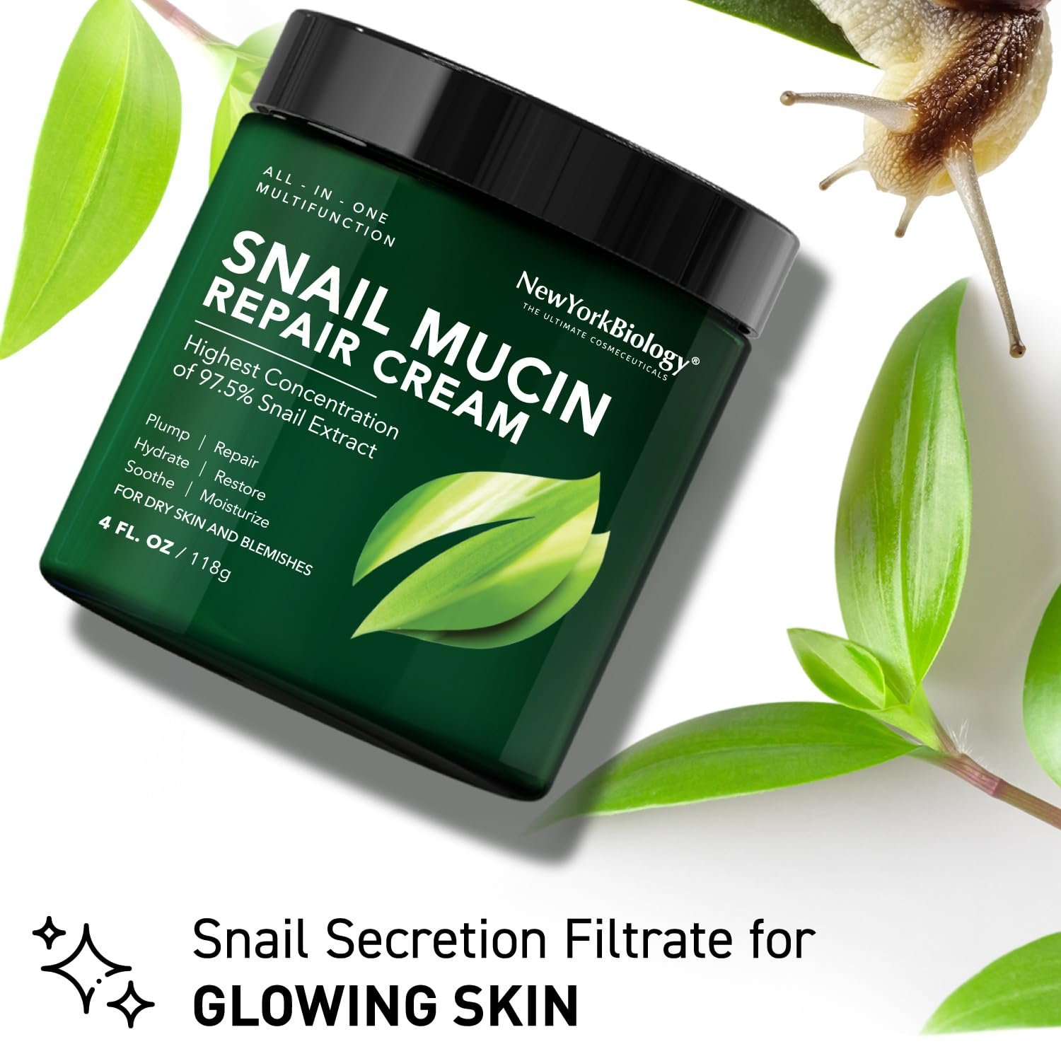 New York Biology Face Cream - 97.5% Korean Snail Mucin - 4 Fl Oz - 100 g - Face Moisturizer for Dry Skin - Skin Care Moisturizing and Hydrating Facial Moisturizer - Image 6