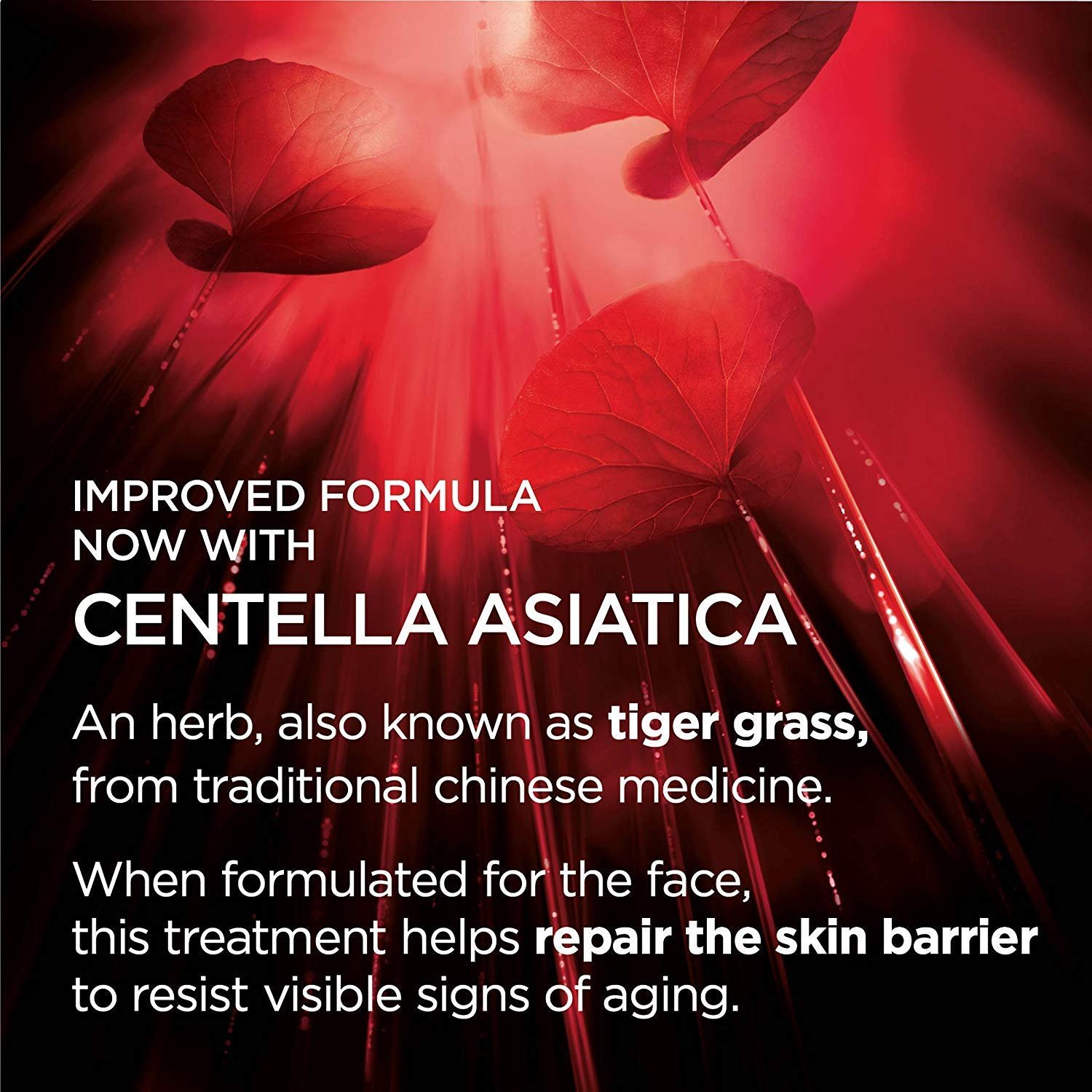 L'Oreal Paris Skincare Revitalift Anti-Wrinkle and Firming Eye Cream with Pro Retinol, Treatment to Reduce Dark Circles, Fragrance Free, 0.5 oz. - Image 10