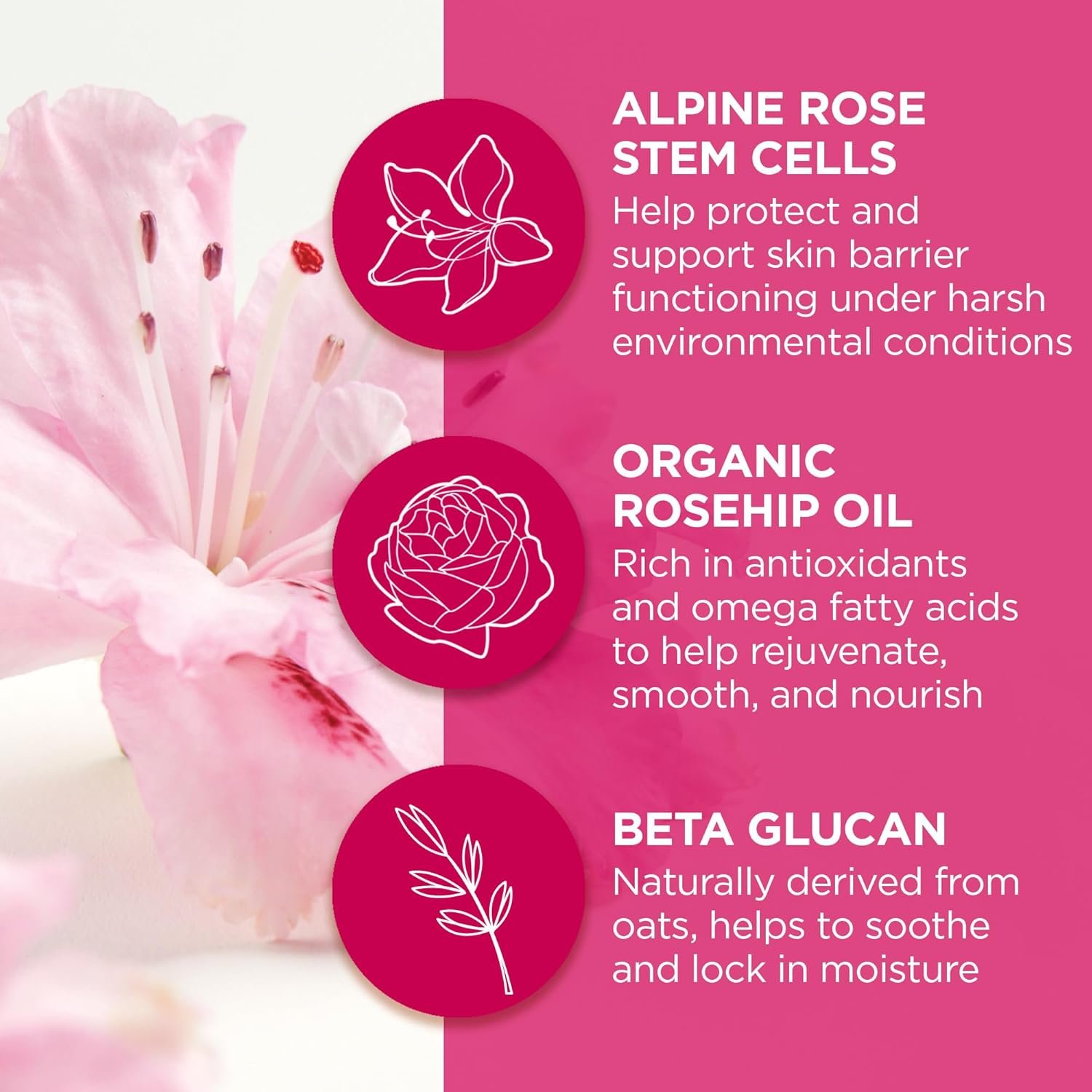 Andalou Naturals Lip Mask 1000 ROSES, Overnight Lip Sleeping Mask for Dry, Chapped Lips, Plumping, Hydrating & Soothing Lip Balm with Alpine Rose Stem Cells, Vegan & Cruelty-Free, 0.42 Oz - Image 5