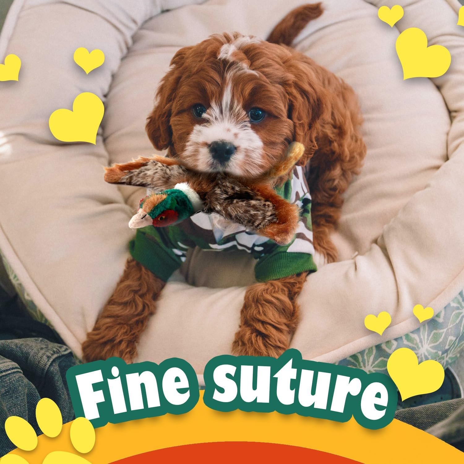 ALL FOR PAWS Classic Pheasant Pet Toys, Small - Image 8