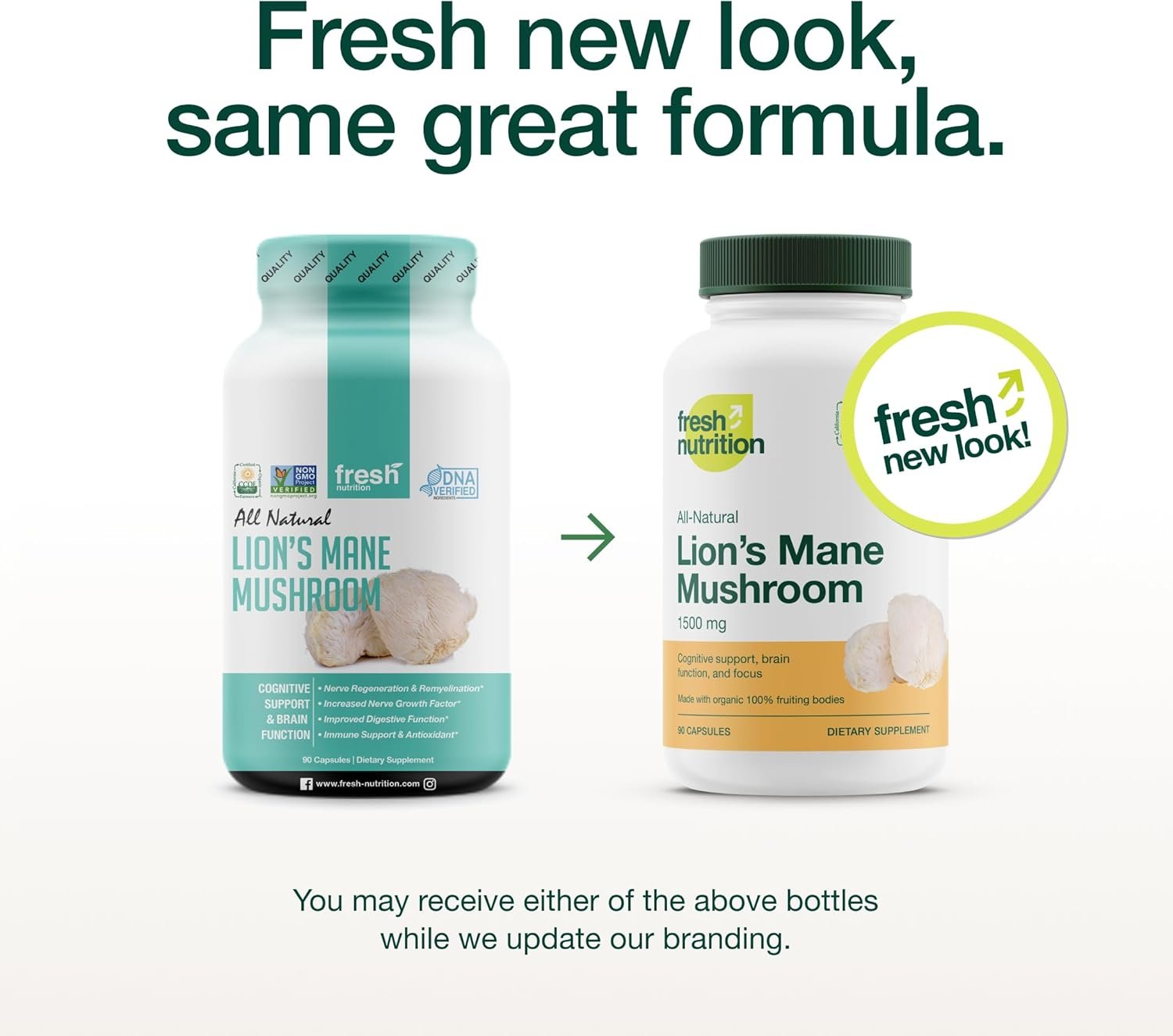 Fresh Nutrition Organic Lions Mane Mushroom Capsules - Strongest DNA Verified Formula - Rich in Alpha Glucan - Powerful Superfood Supplement - Brain, Immune System Benefits - Vegan Friendly - Image 3