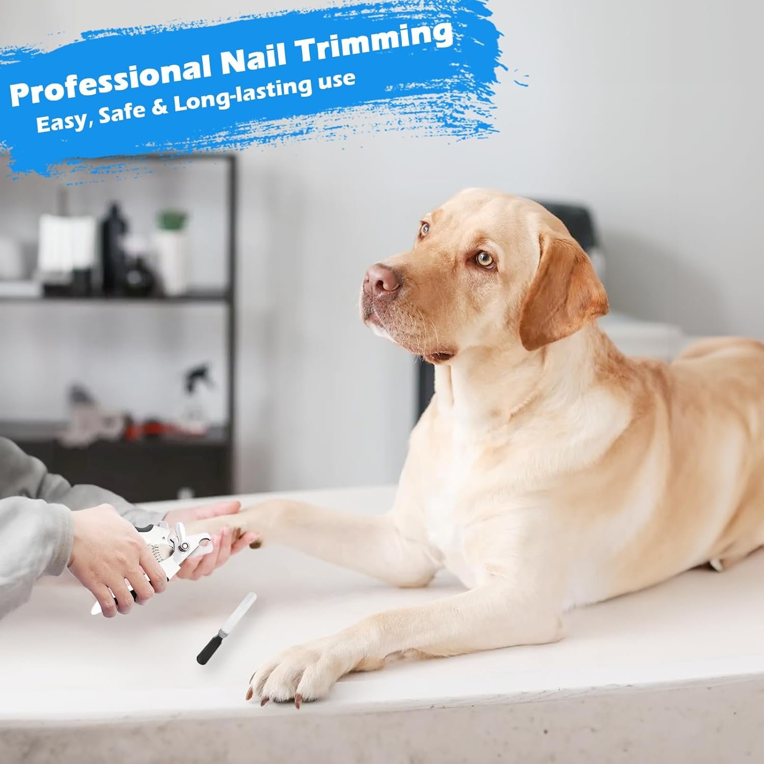 Dog Grooming Kit, Includes 7PCS Deshedding Brush, Pin Brush, Flea Comb, Metal Comb, Bath Brush, Nail Clipper and File, for Small, Medium and Large Dogs (Grey) - Image 6