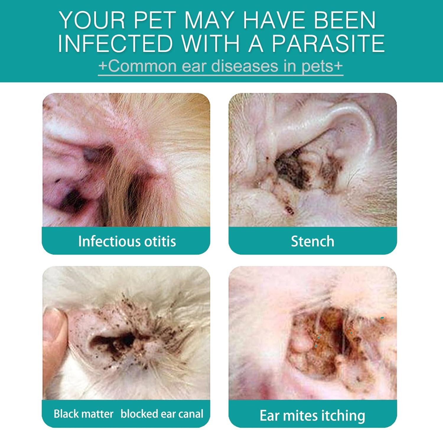 Ear Finger Wipes for Dogs & Cats - Gently Remove Ear Wax, Debris Sooths Relieve Ear - 50 Count - Image 8