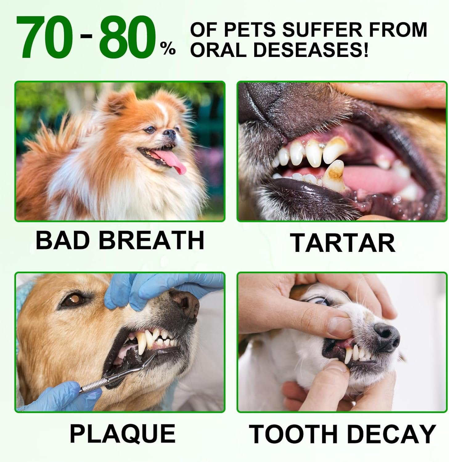 Grooming Wipes Pet Teeth Cleaning Wipes for Dogs & Cats,Dental Wipes for Dogs Teeth Remove Bad Breath by Removing Plaque and Tartar Buildup No-Rinse Dog Finger Toothbrush Disposable Dog Finger - Image 8