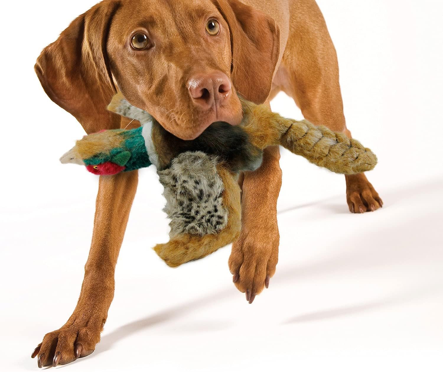 ALL FOR PAWS Classic Pheasant Pet Toys, Small - Image 4