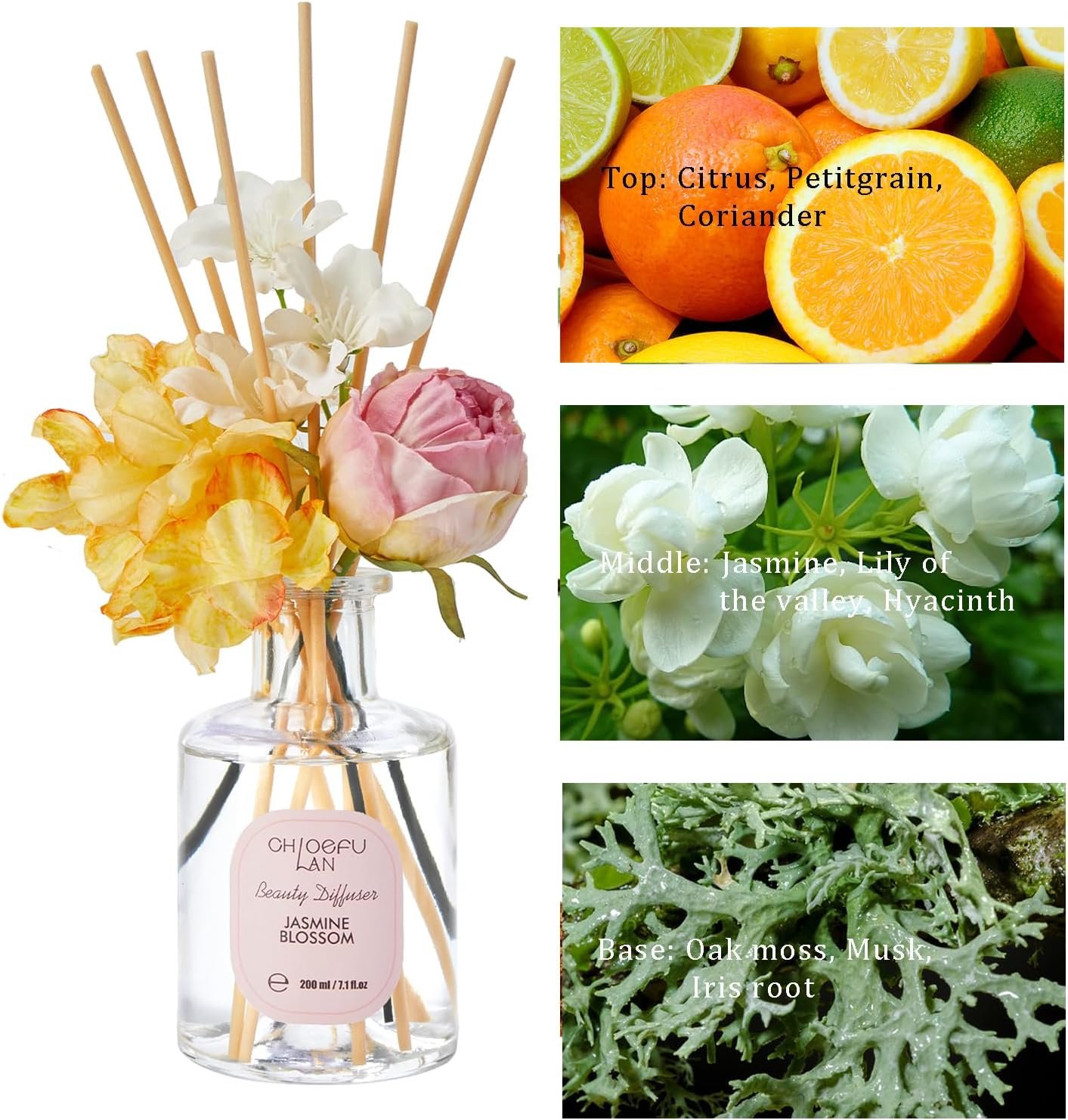 Chloefu Lan Reéd Diffuser Set 6.7oz (200ml) with 9 Sticks, Jasmine Blossom Scent Diffusers for Home, Flowers Reéd Diffuser Sticks, Scentsy Home Fragrance, Scented Oils, Home & Bathroom Décor - Image 4
