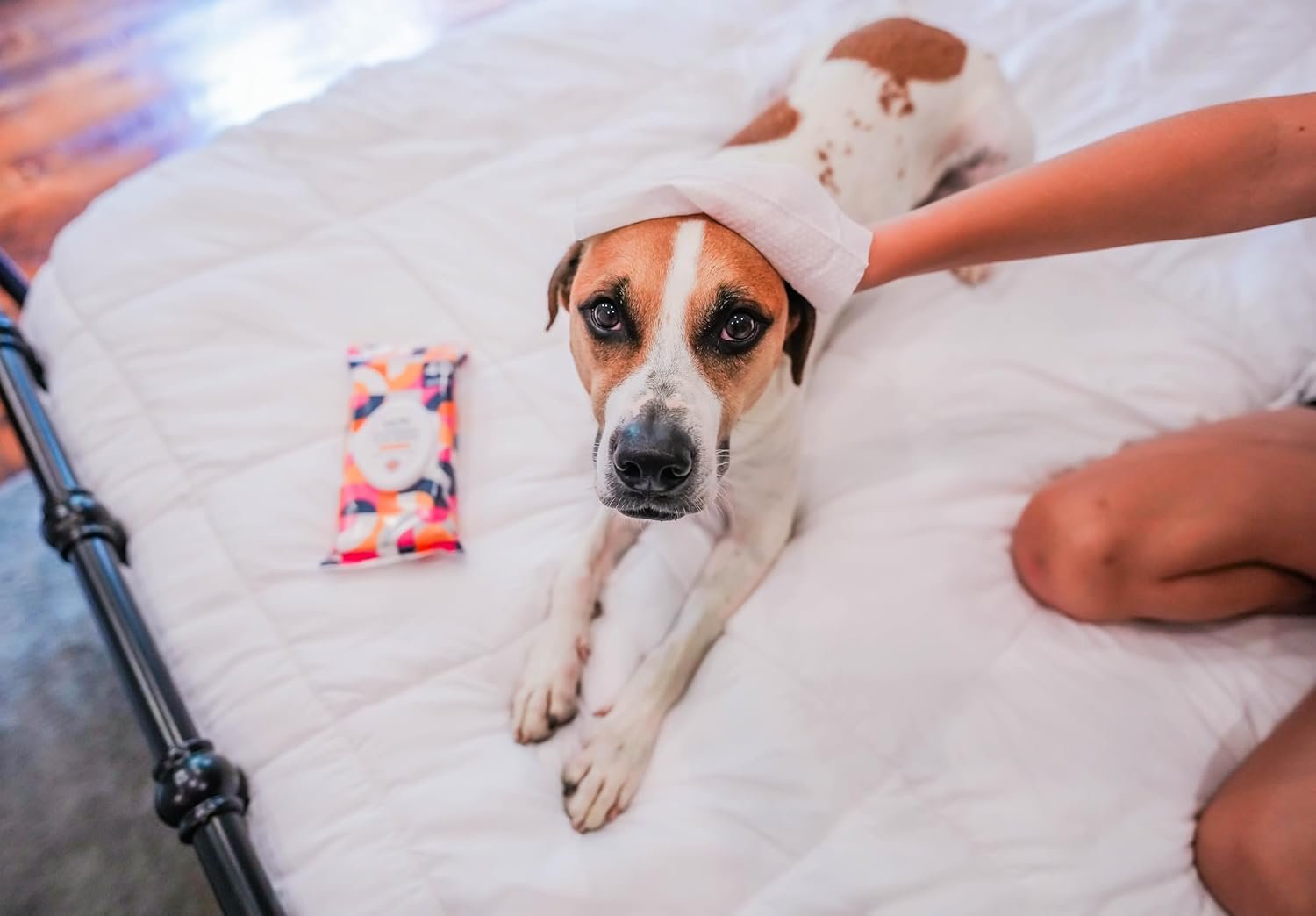 Pet Life Unlimited Pet Wipes for Dogs, Dog Cleaning Wipes - Plant-Based Dog Wipes with Moisturizing Aloe Leaf & Calendula - Made in The USA - Bergamot Apple Scent Dog Grooming Wipes - 40ct (Pack of 3) - Image 8