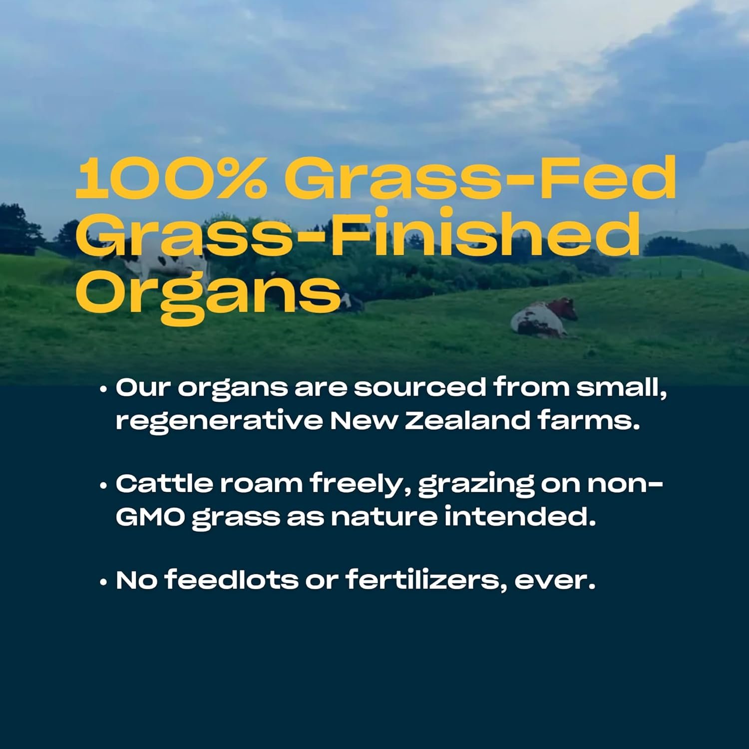 Pluck Pure | Beef Organ Supplement Powder Travel Pack | From 100% Grass Fed & Grass Finished Pastured Beef Liver, Kidney, Spleen, Heart, & Pancreas | 7 Packets, 14 Servings - Image 5