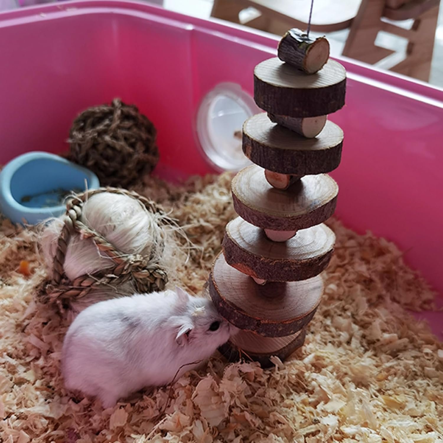 LWINGFLYER 2pcs Hamster Chew Toys Hanging Apple Wood Hamster Chew Toys for Hamsters Teeth Natural Apple Wood Cage Snack for Hamsters Rabbits Bunny Bird Parrots Chinchilla Guinea Pig Gerbils Squirrels - Image 4