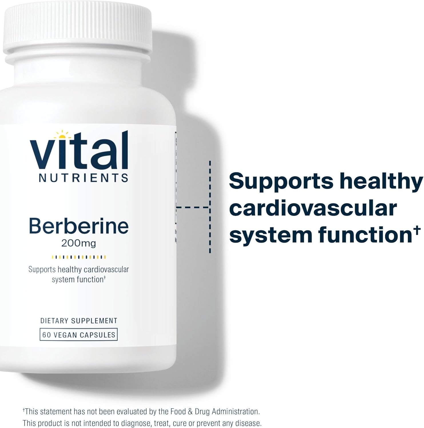 Vital Nutrients Berberine | Supports Healthy Bowel Function and Normal Triglyceride Levels | Vegan Supplement | Gluten, Dairy and Soy Free | 200 mg | 60 Capsules - Image 7